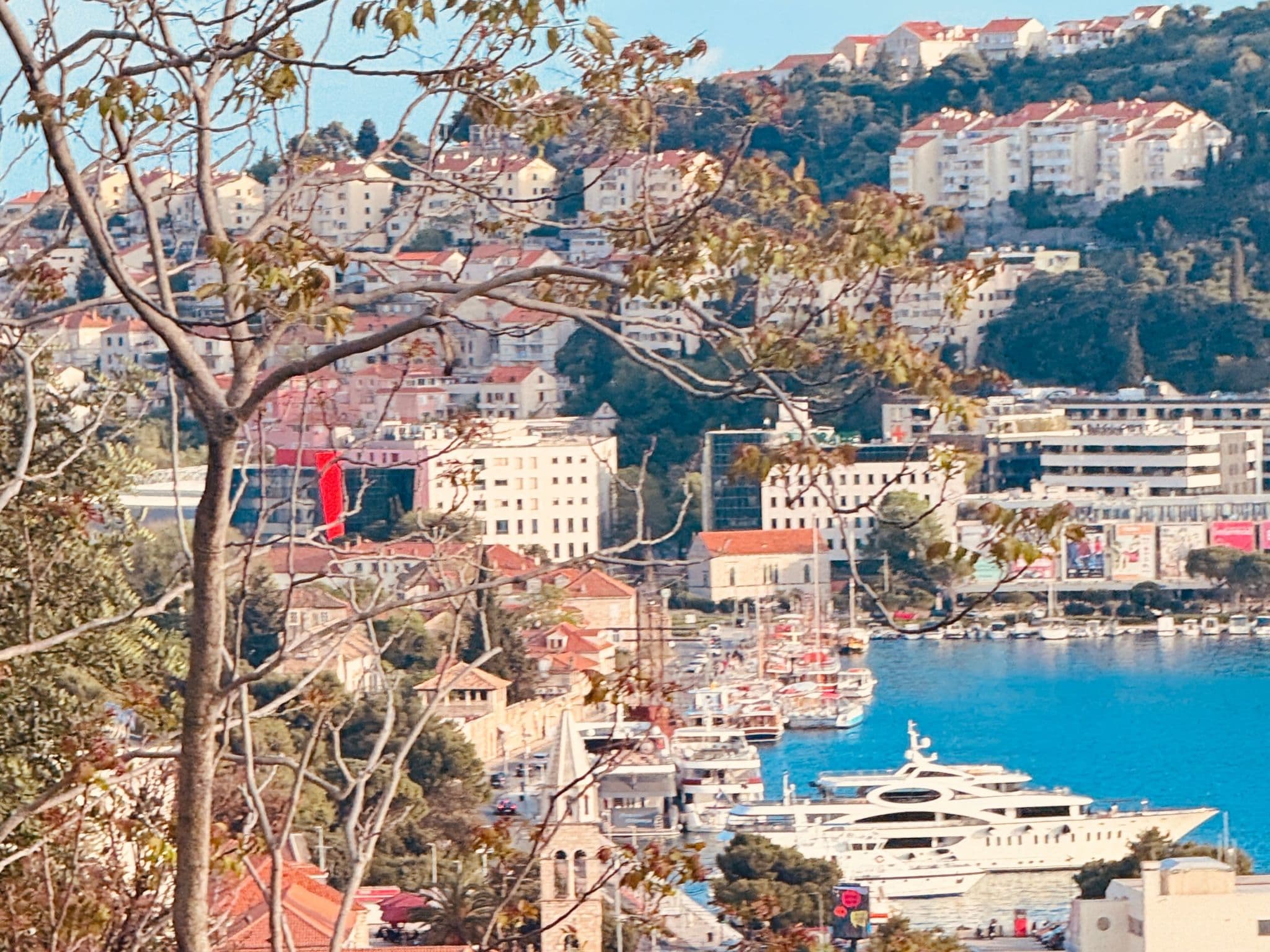 View