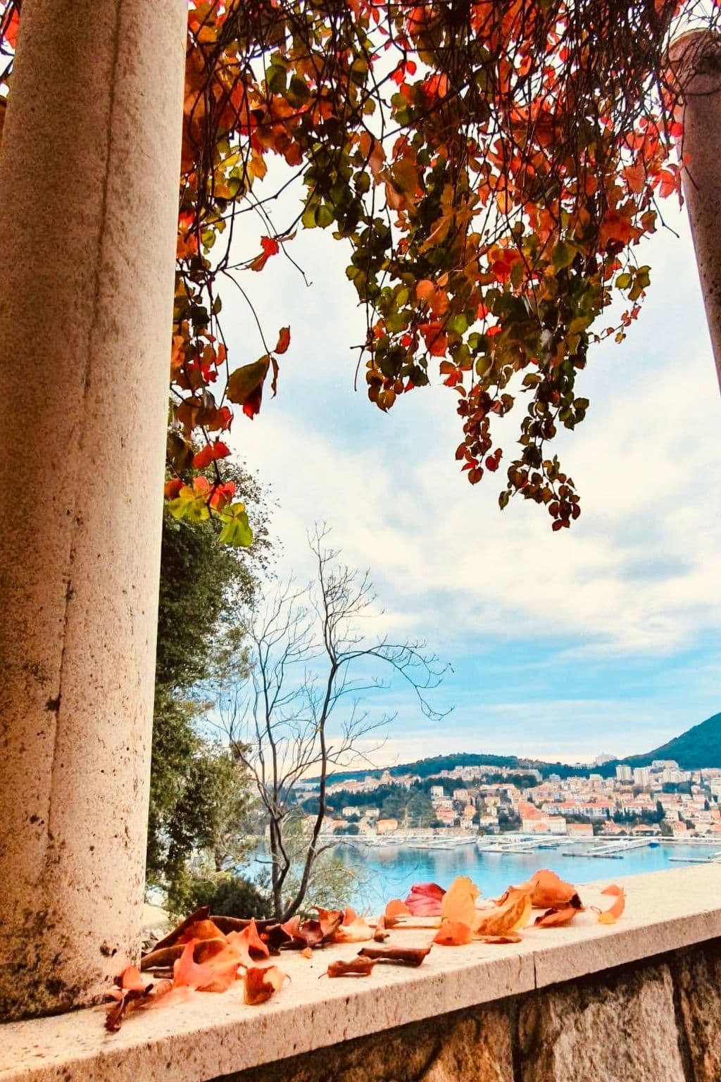 View