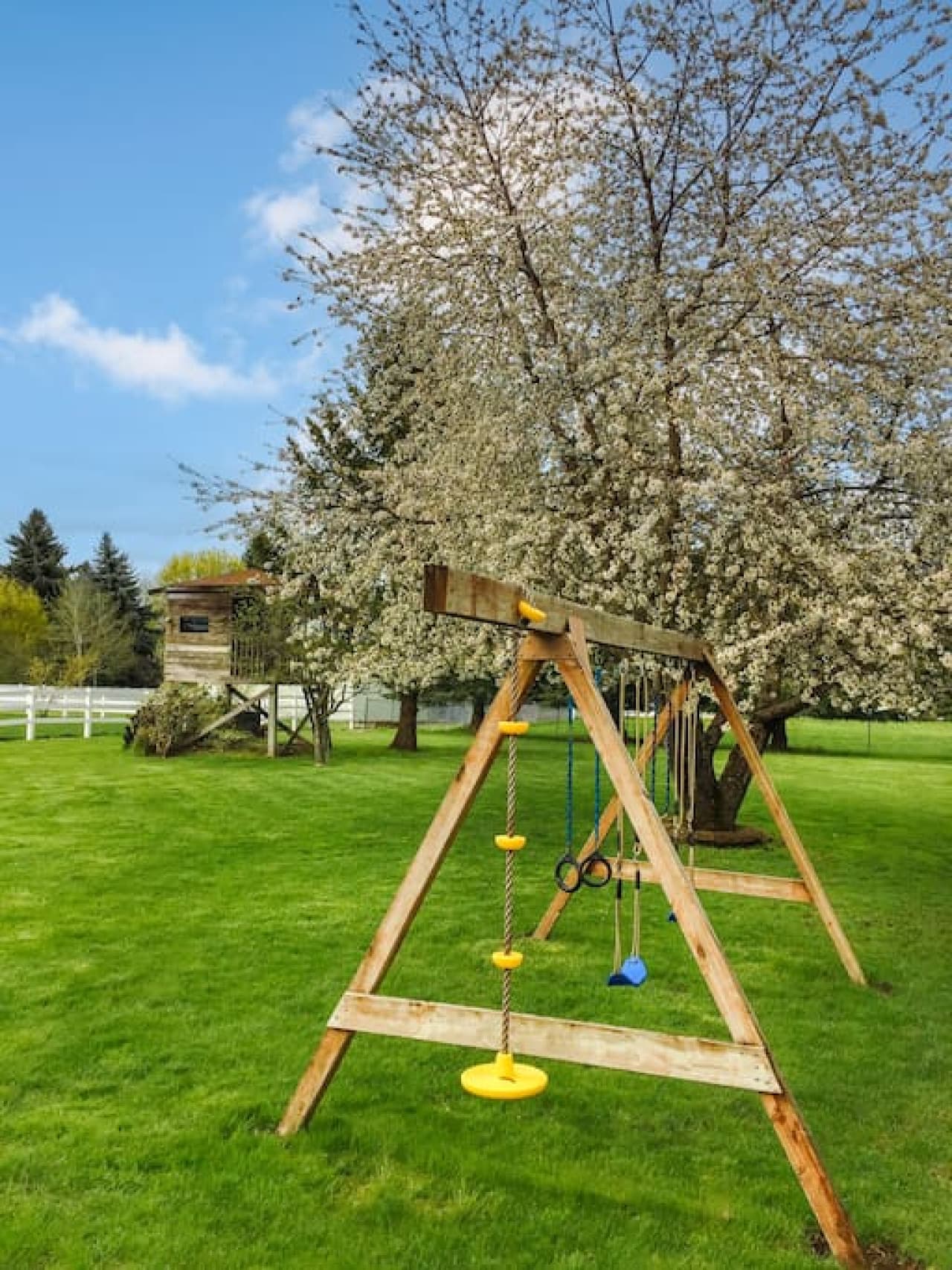 Swing set in backyard with view of treehouse