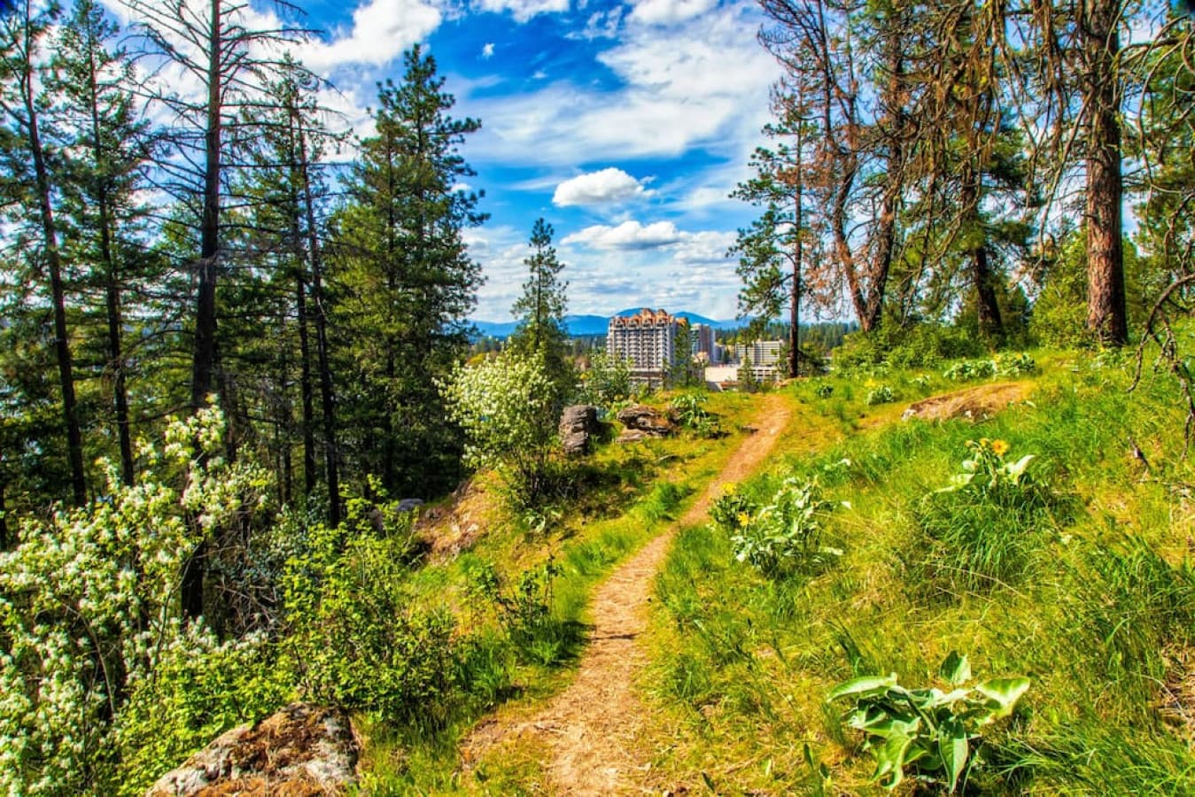 Tubbs Hill hiking trail