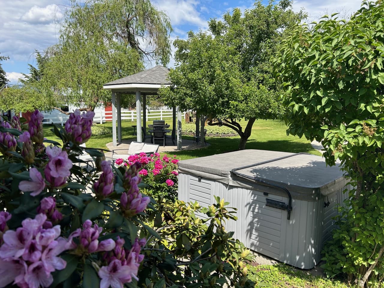 Dalton blooms to gazebo 6.25.jpg
