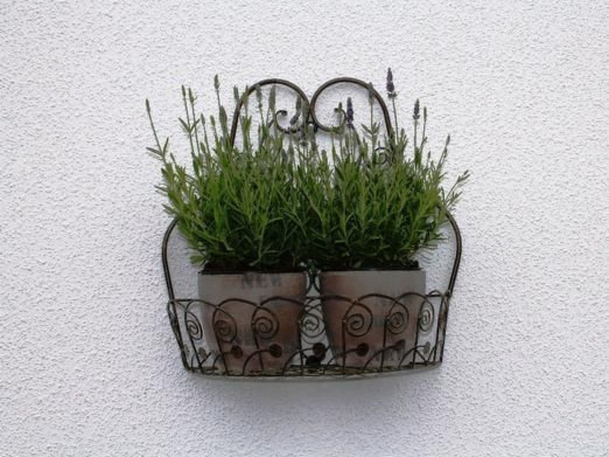 Gallery Image 17