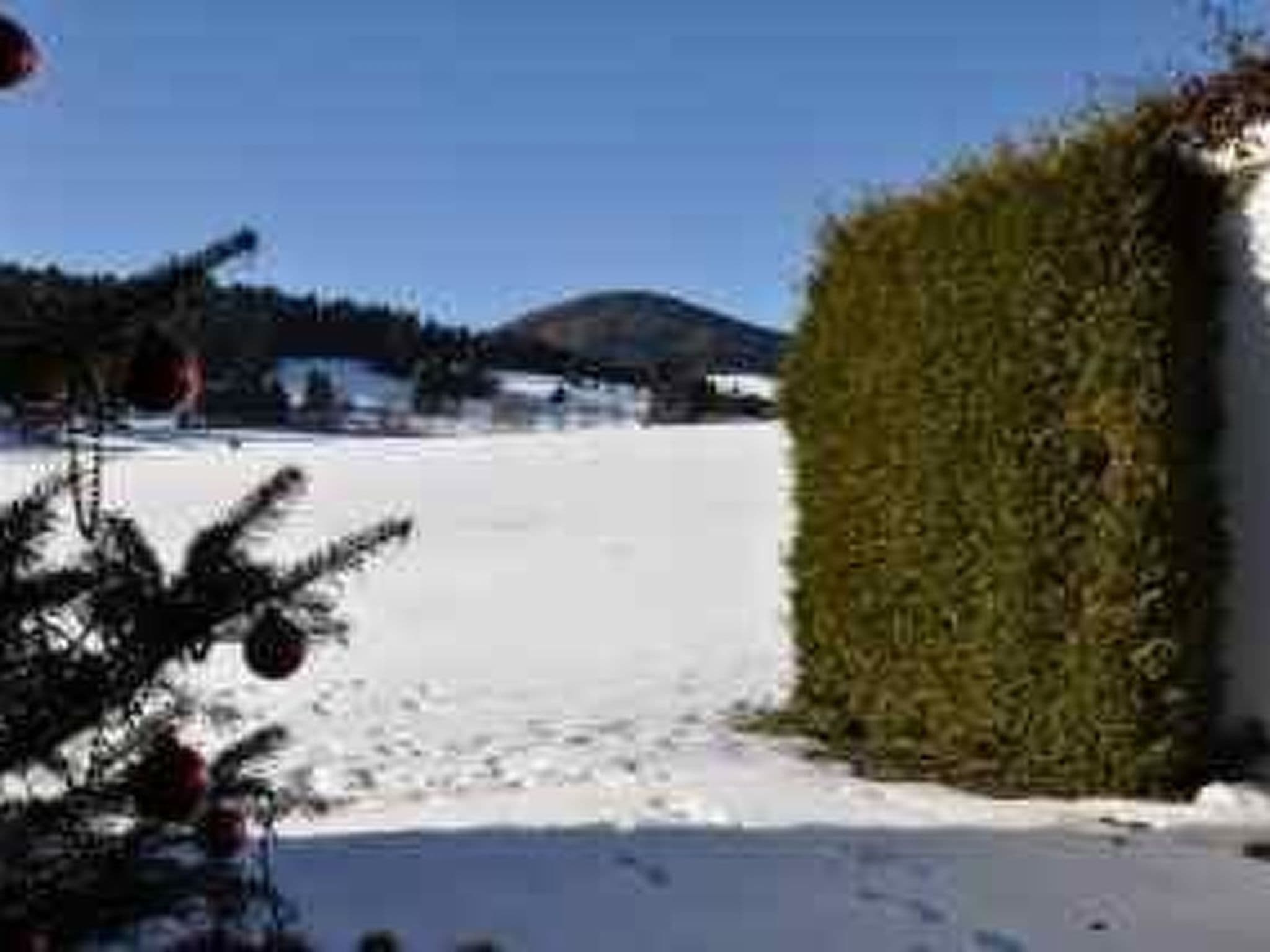 Gallery Image 20