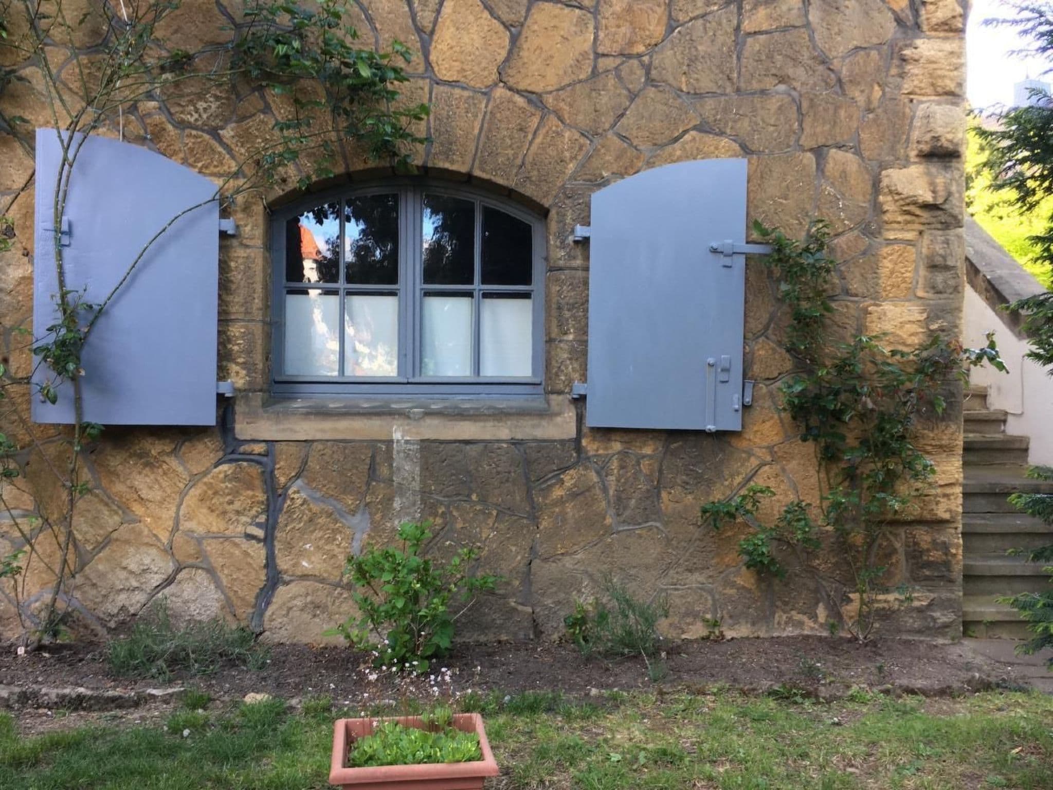 Gallery Image 15