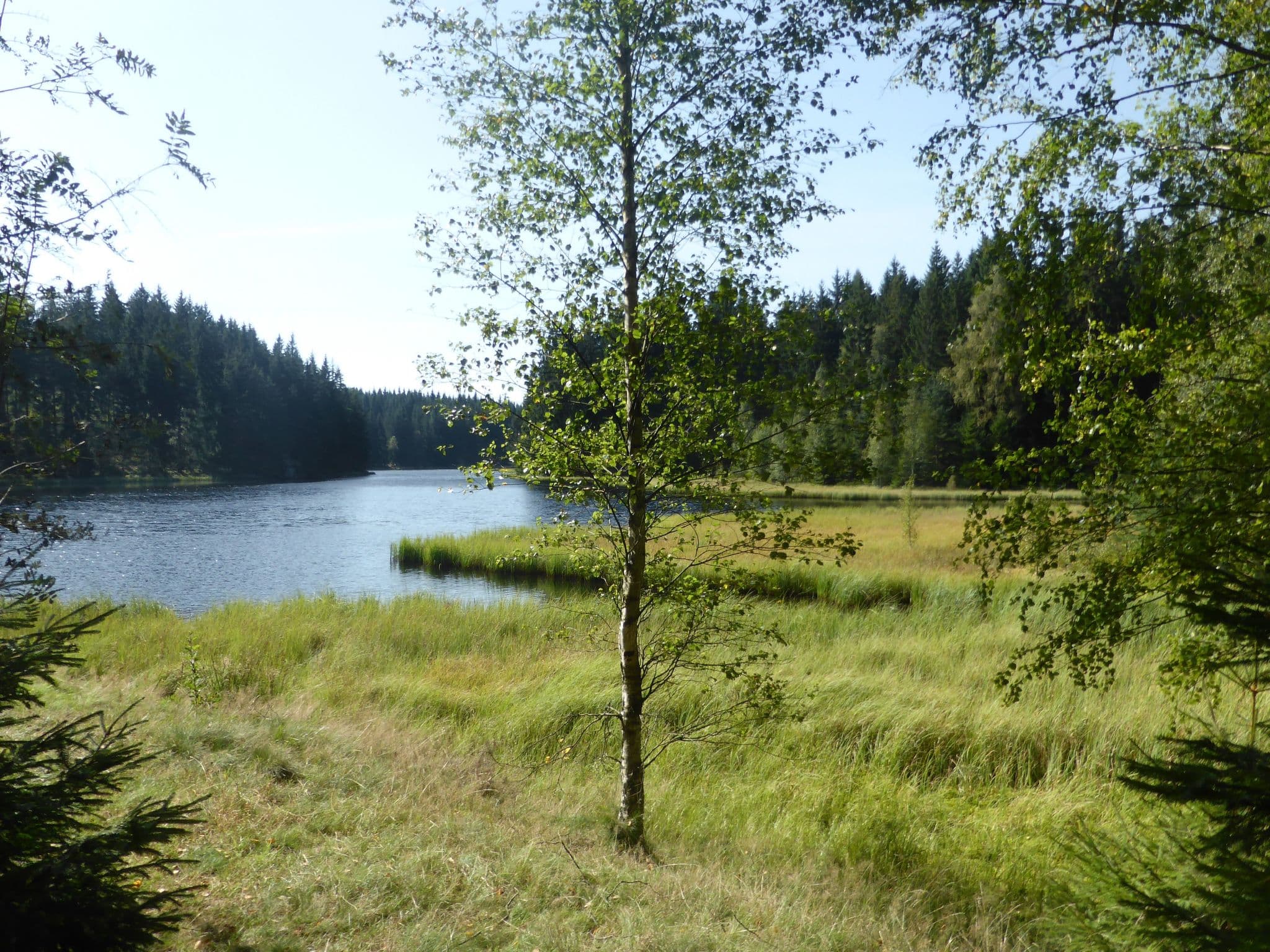 Gallery Image 21