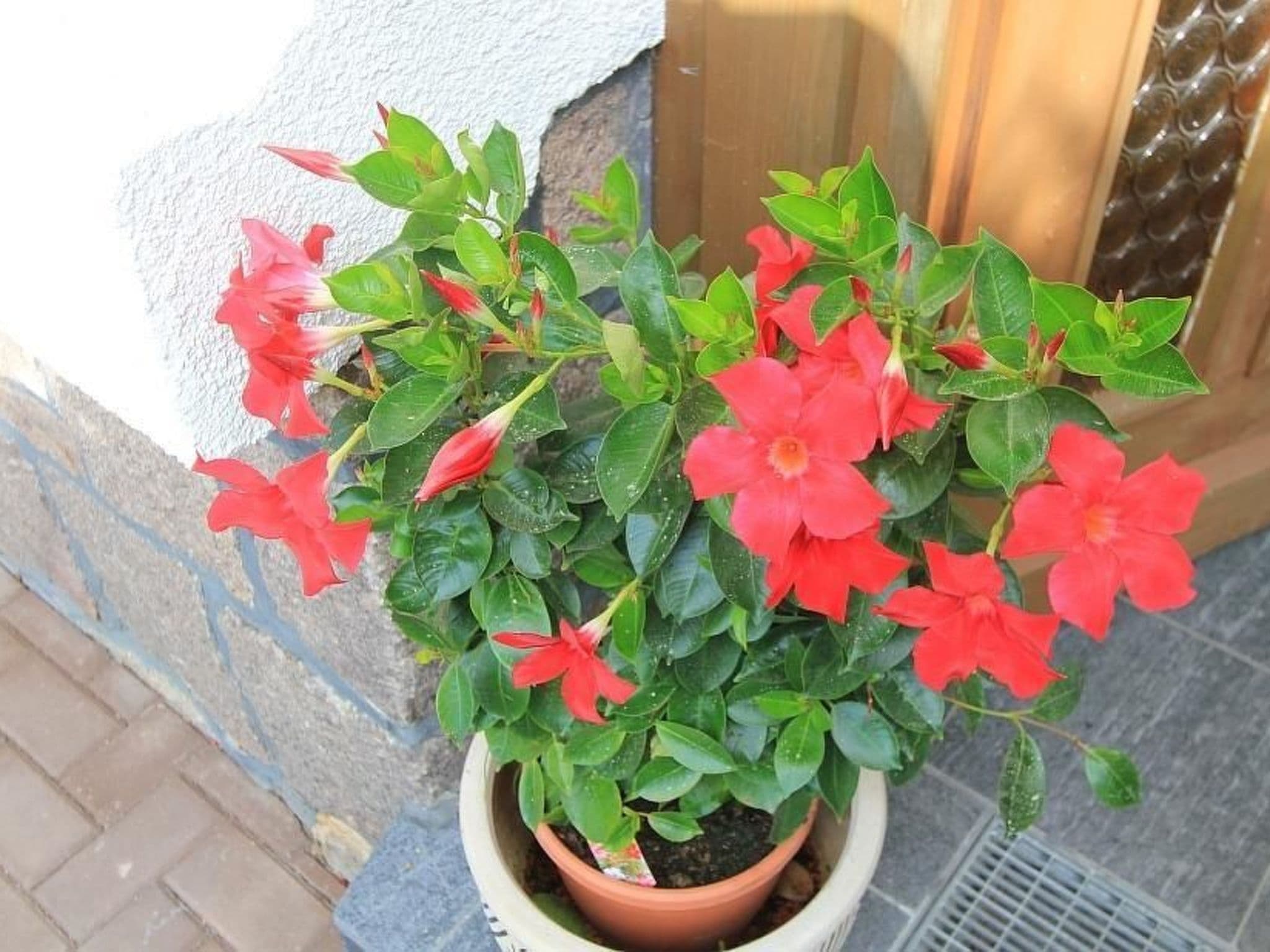 Gallery Image 33