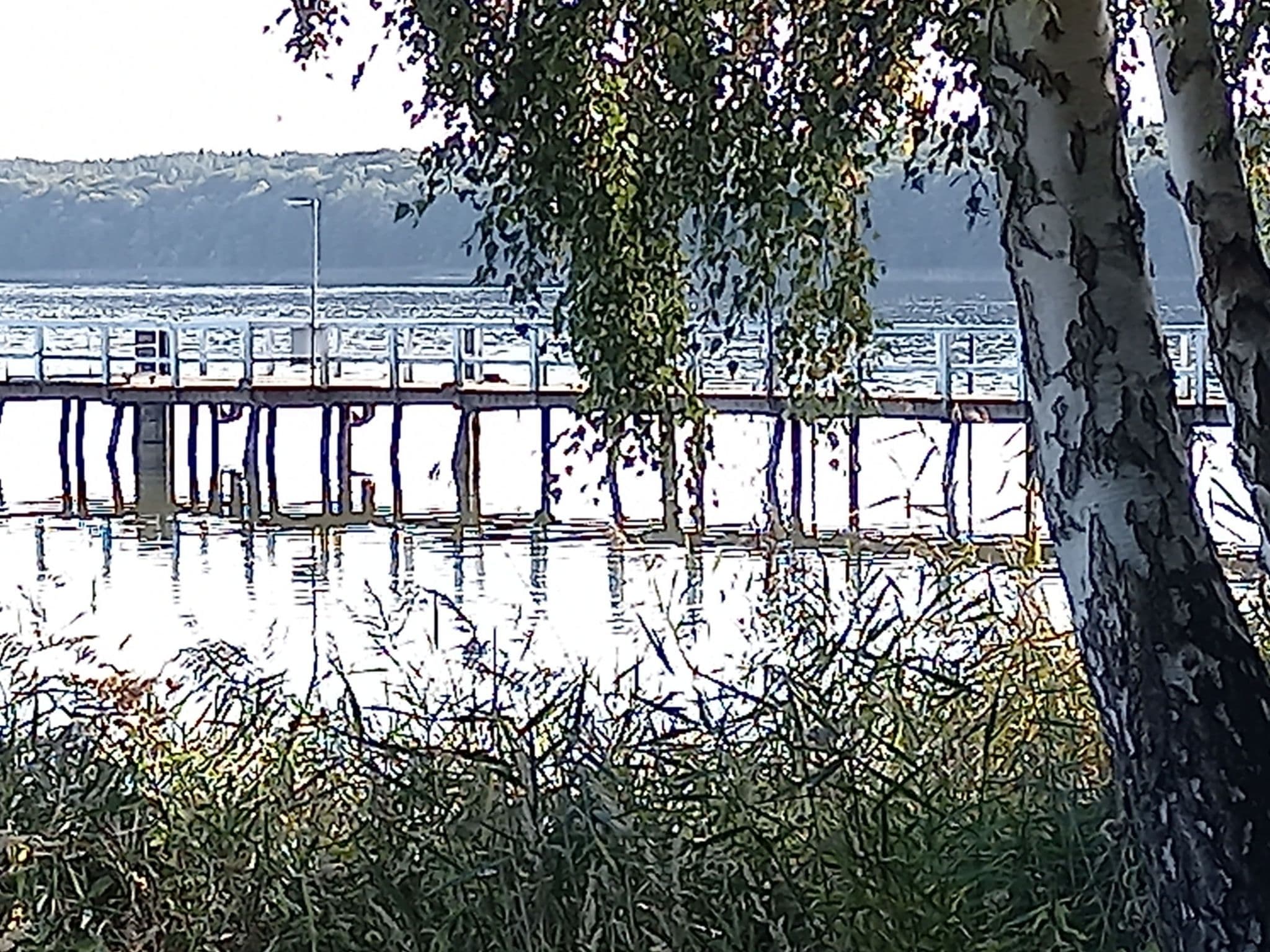 View