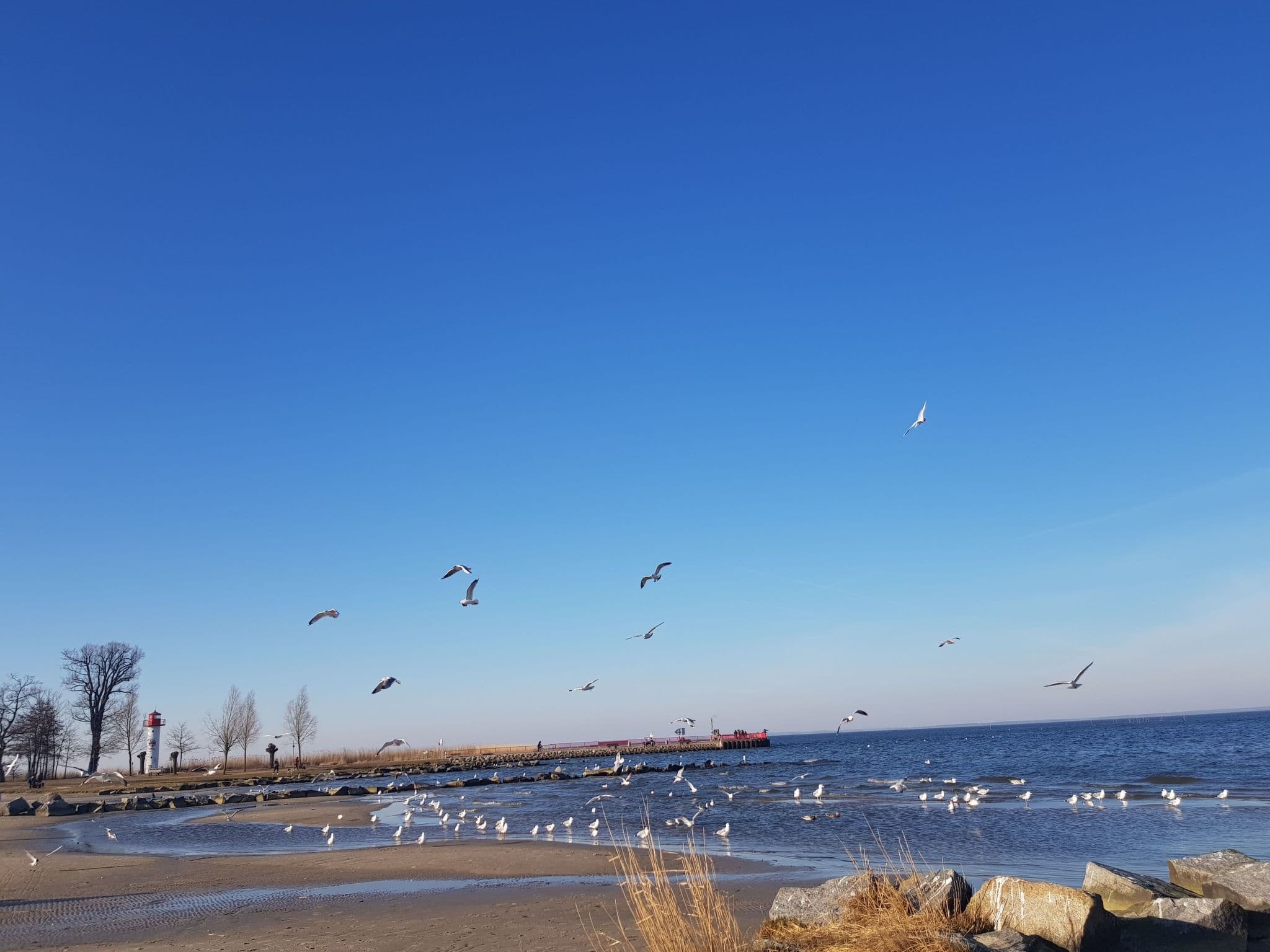 Beach