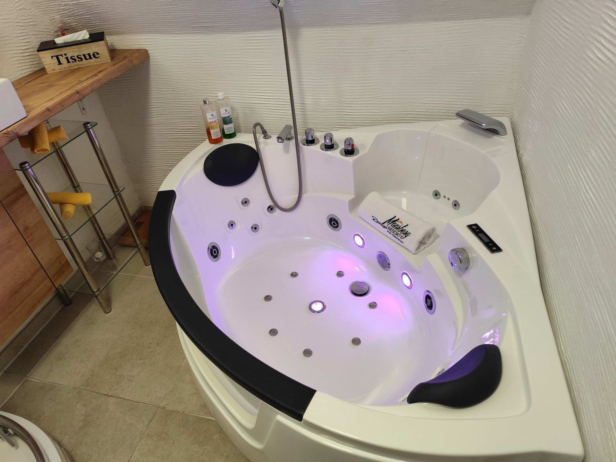 Bathroom / Wellness