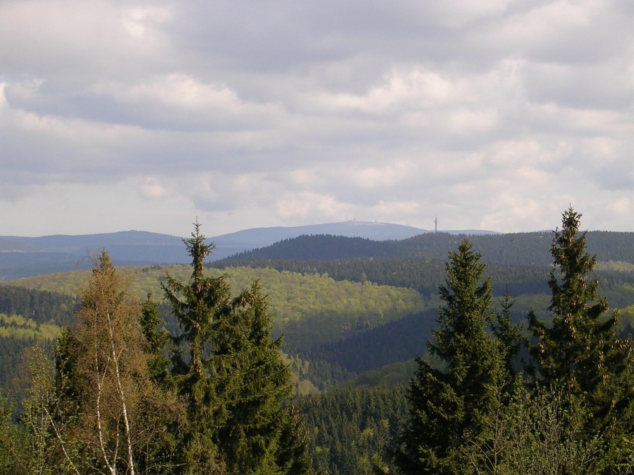 View