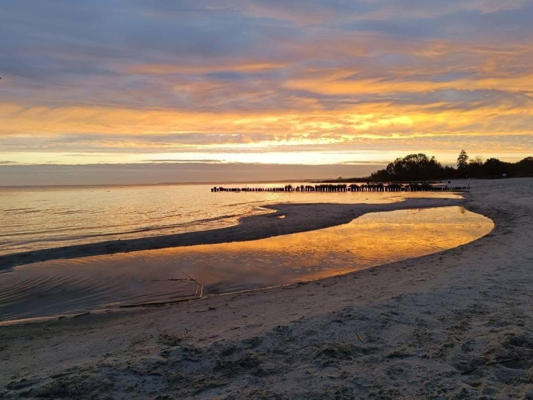 Gallery Image 25