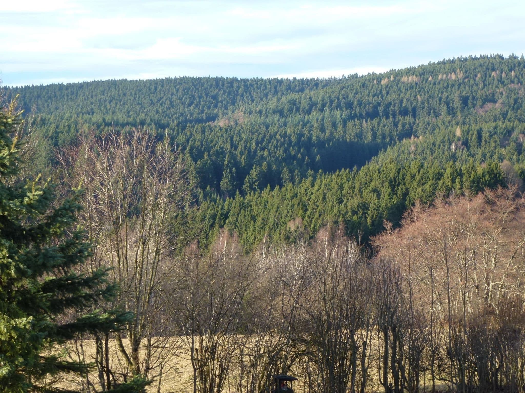 View