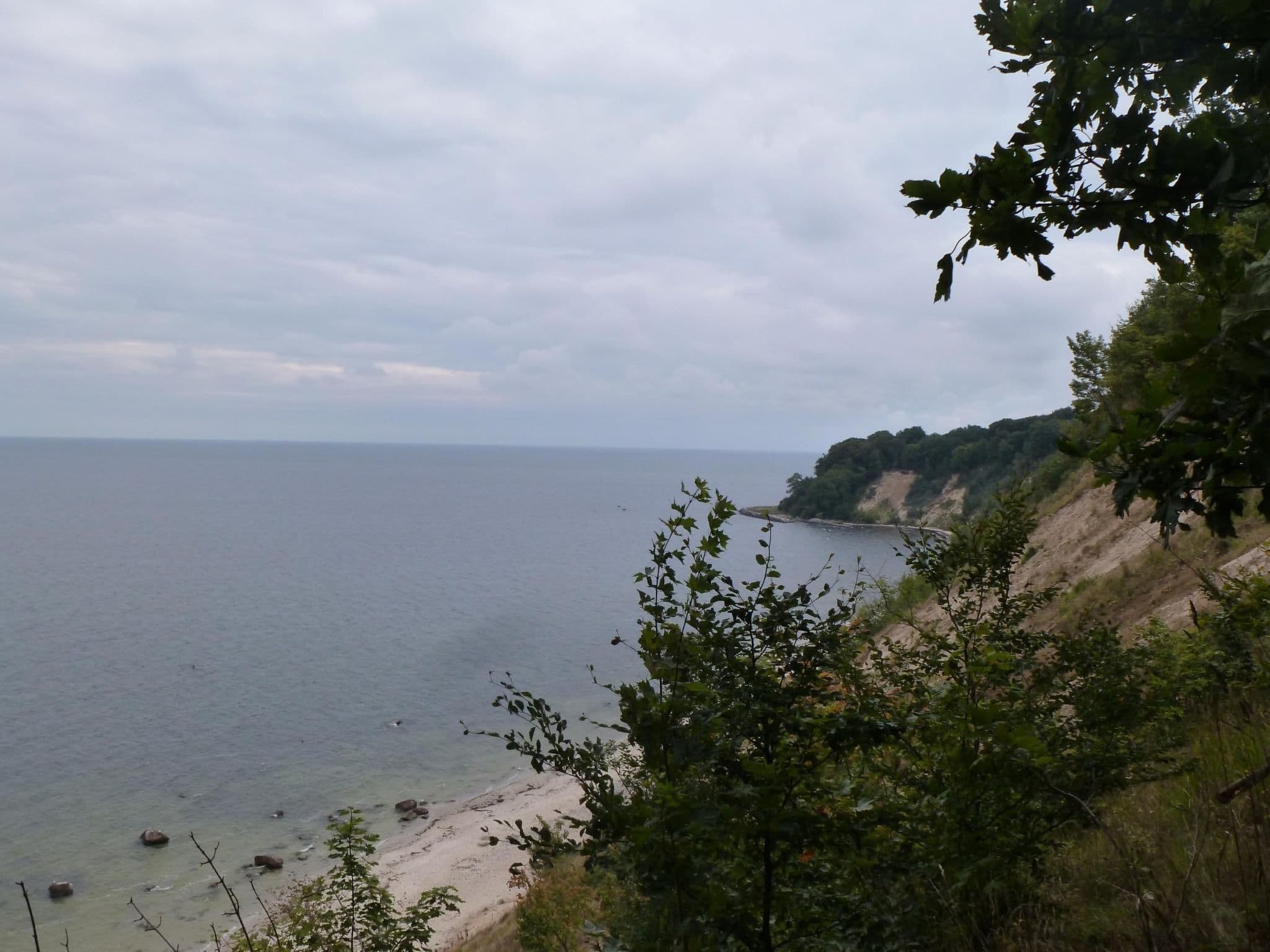Gallery Image 50