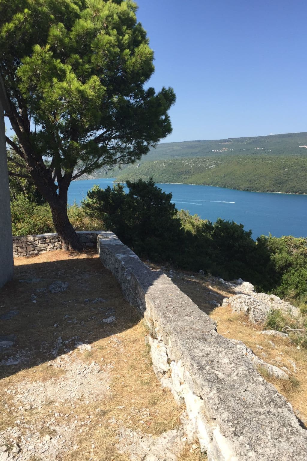 View