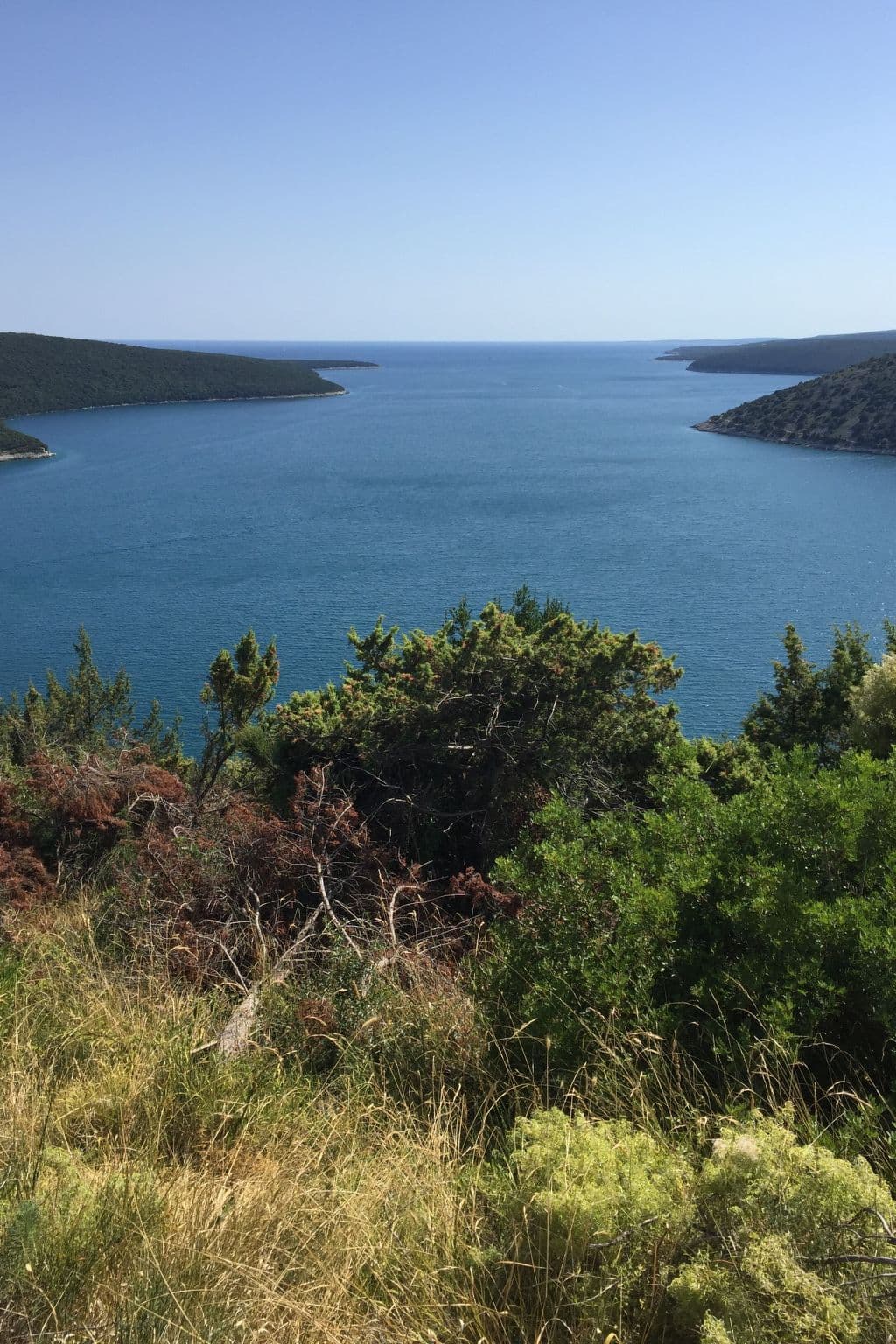View