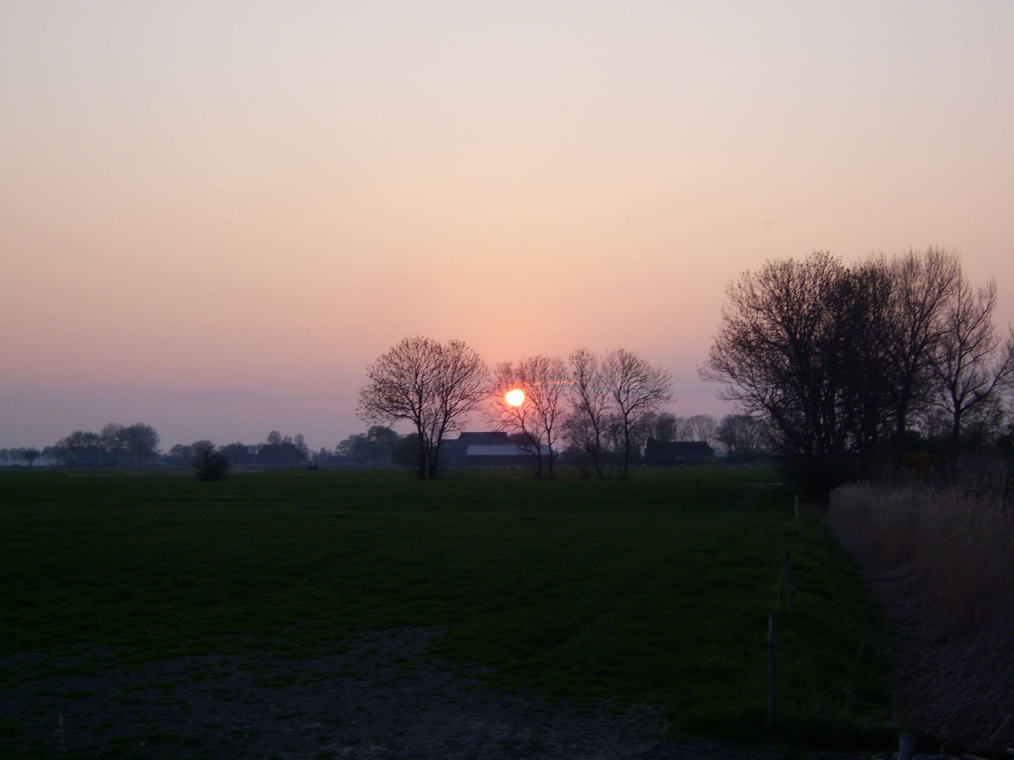 Gallery Image 30