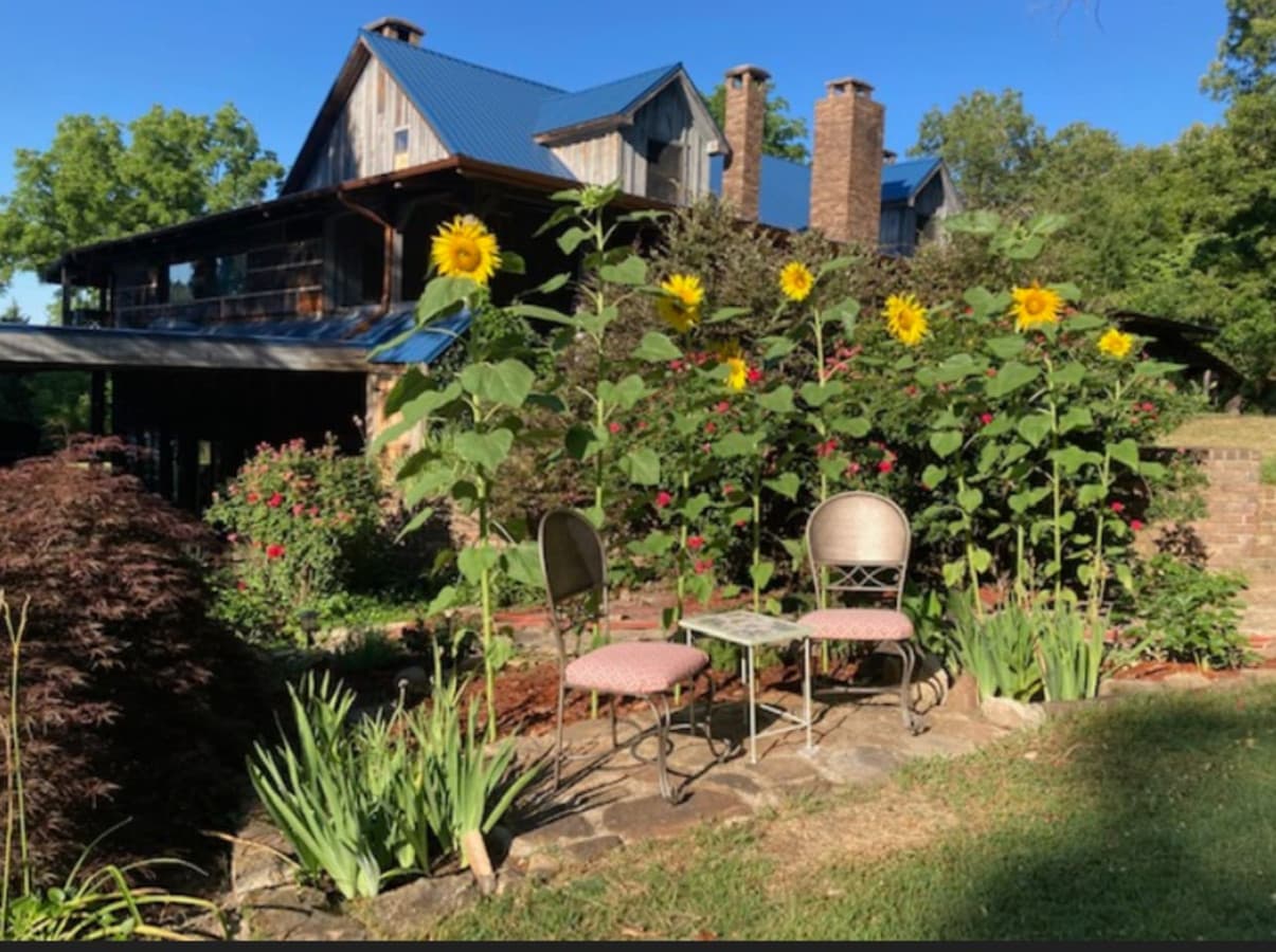 Gallery Image 41
