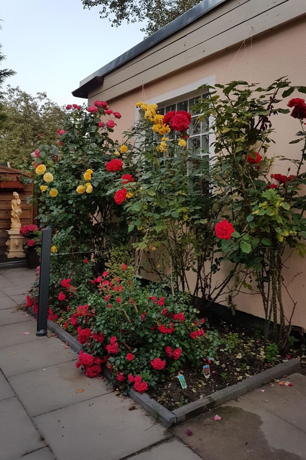 Gallery Image 21