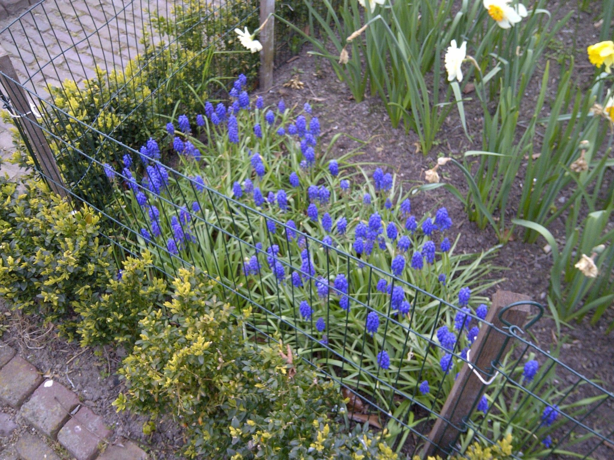 Gallery Image 29