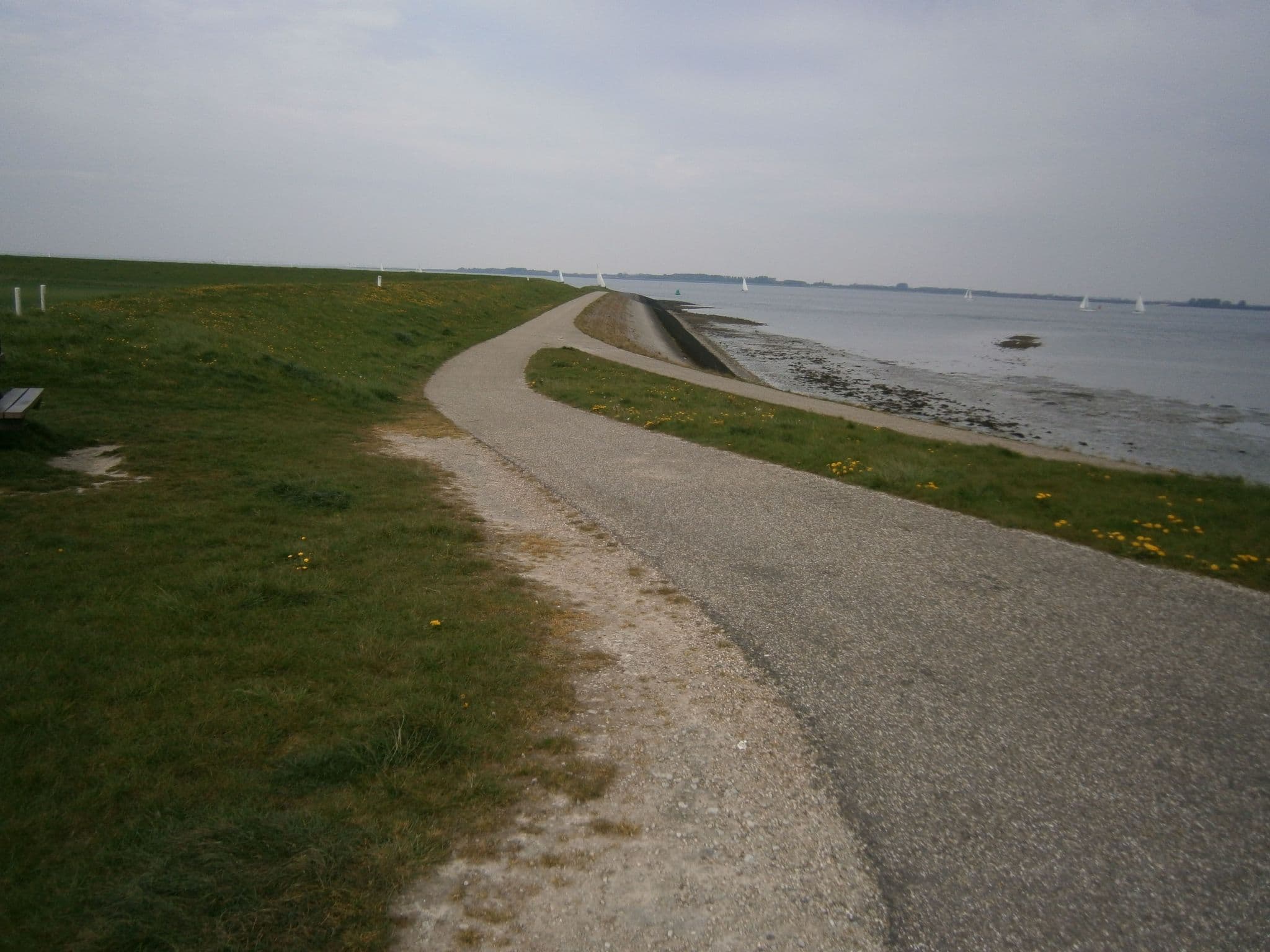 Gallery Image 42