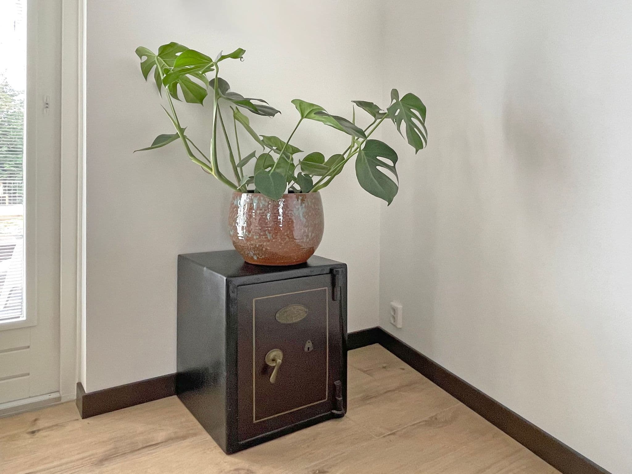 Gallery Image 8