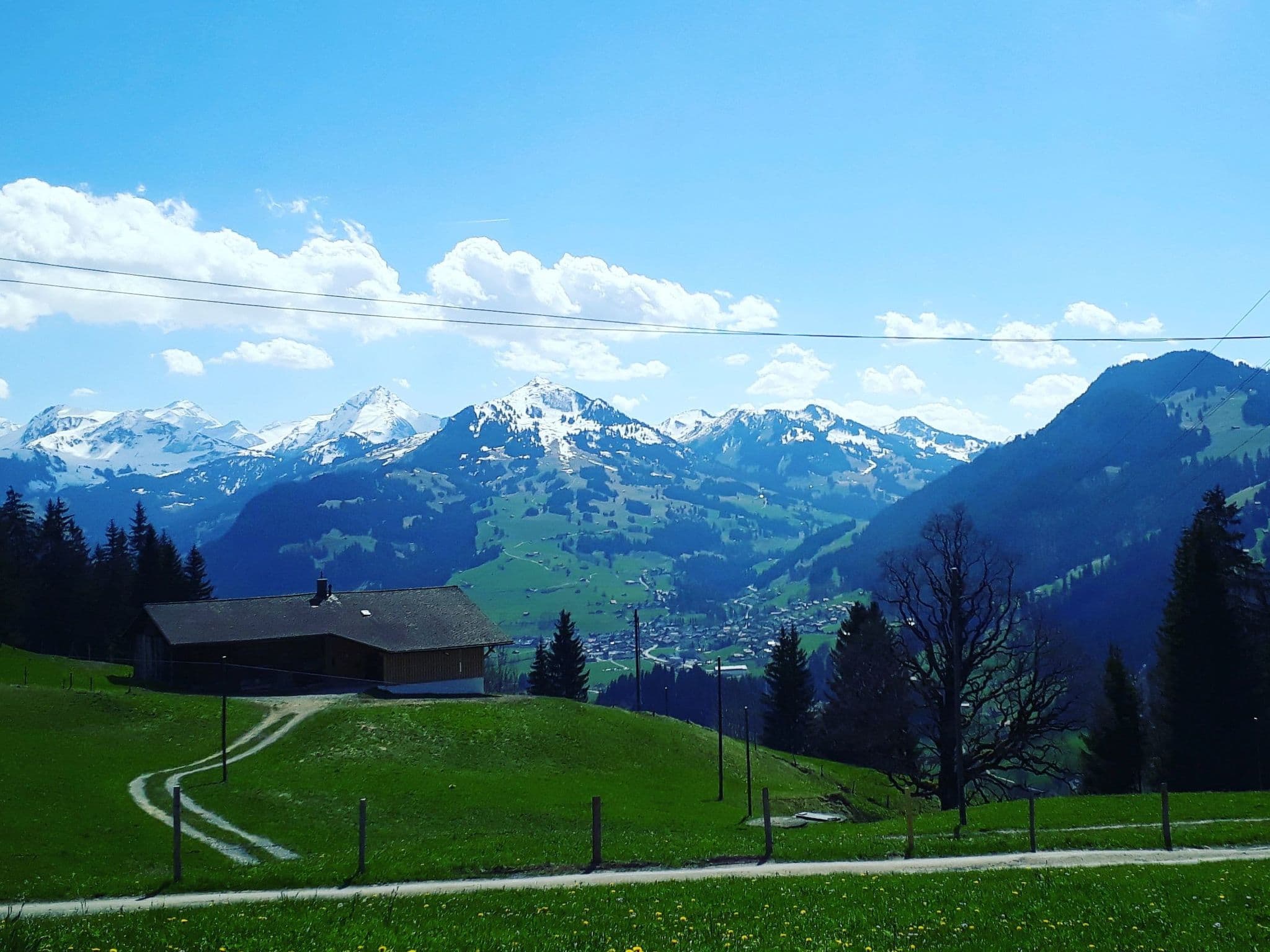 View