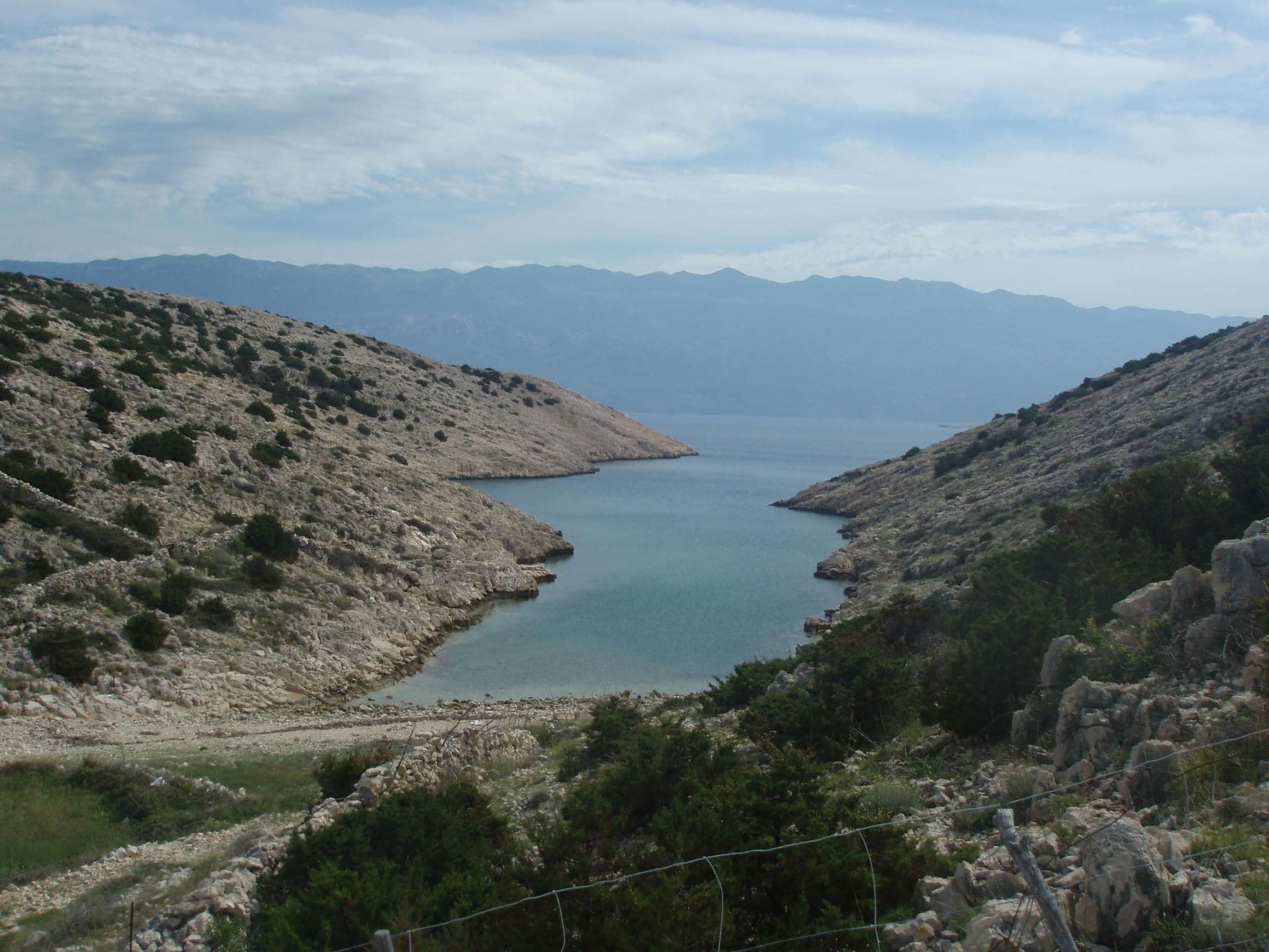 View