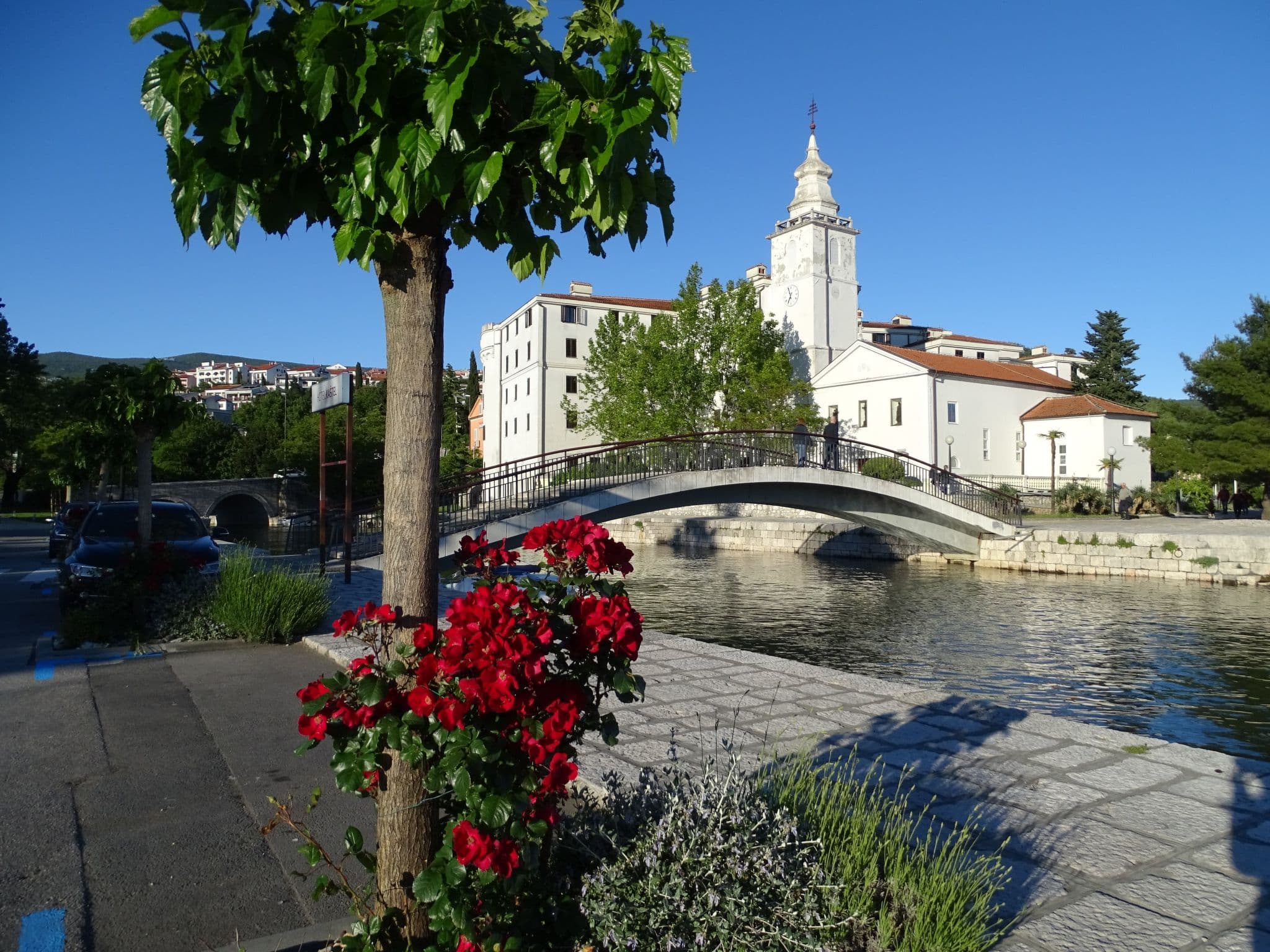 Gallery Image 27