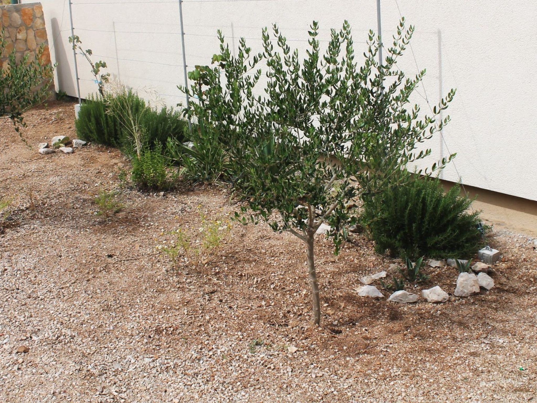 Gallery Image 18