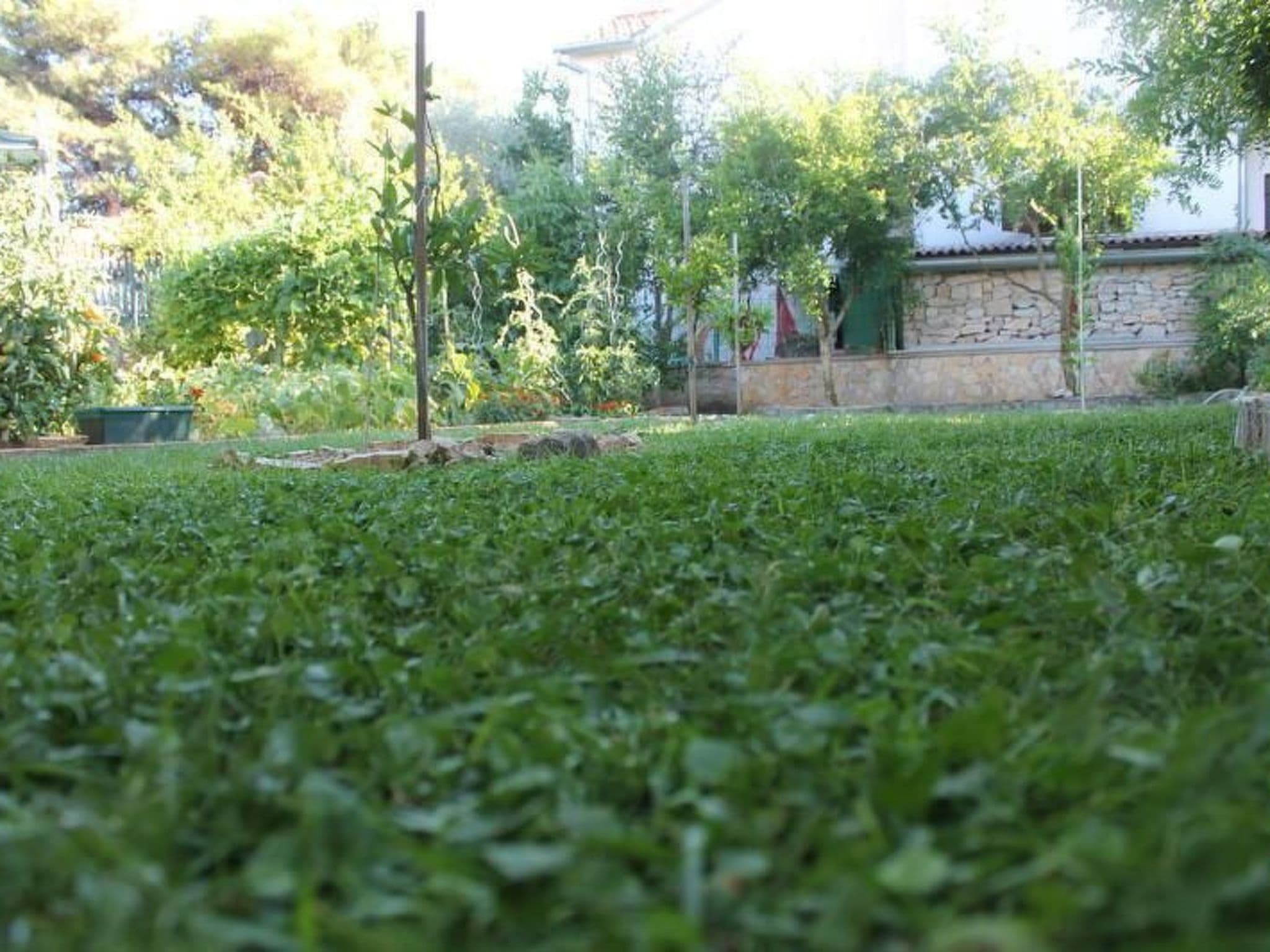 Gallery Image 33
