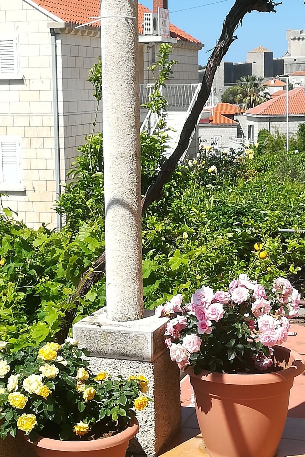 Gallery Image 30