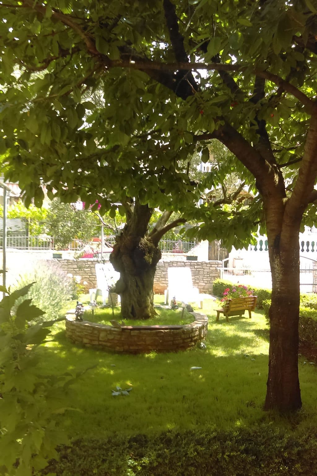 Gallery Image 29