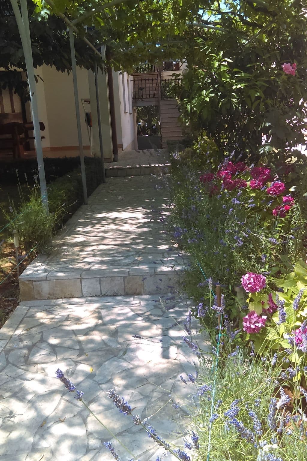 Gallery Image 31