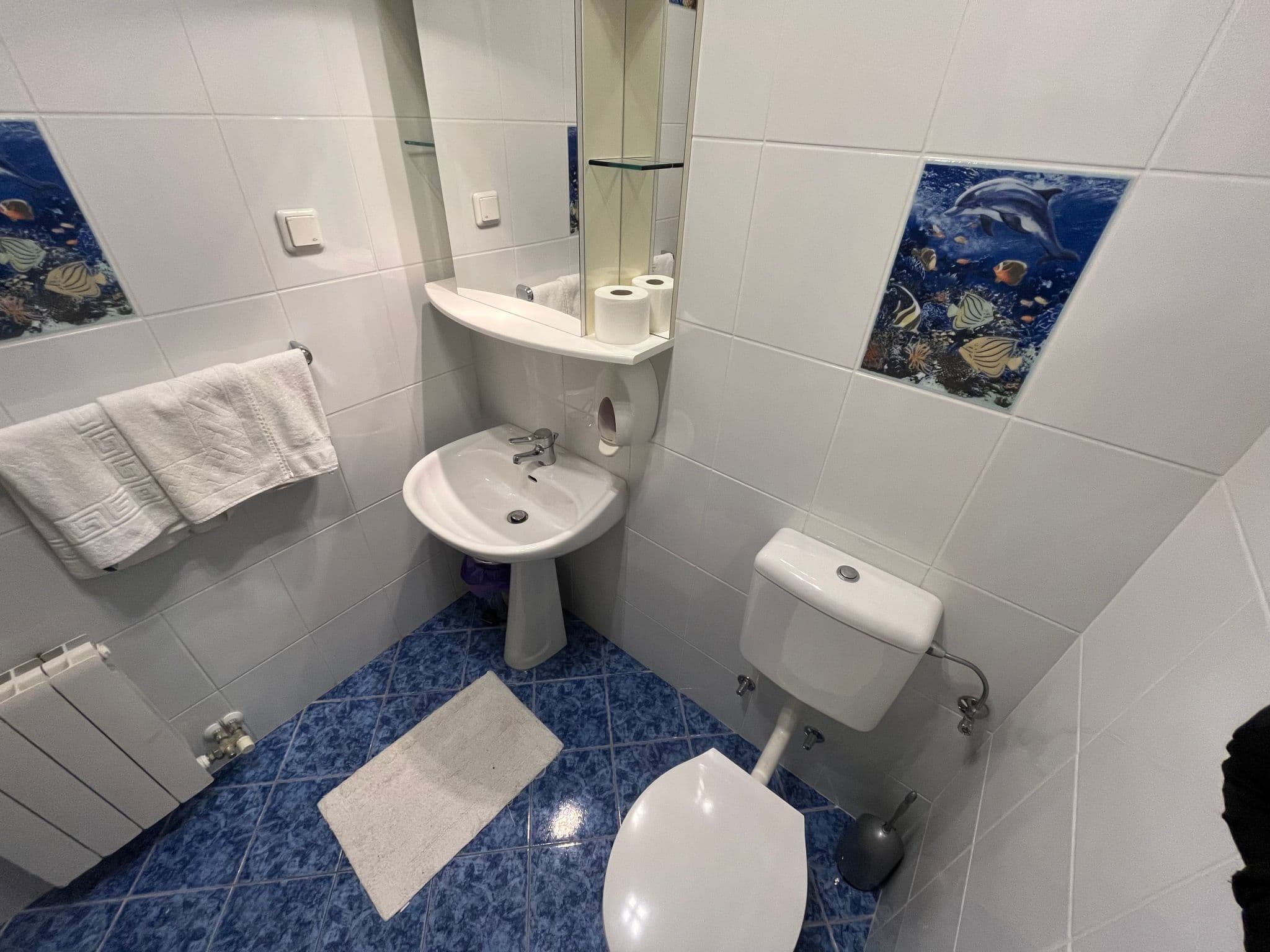Bathroom / Wellness