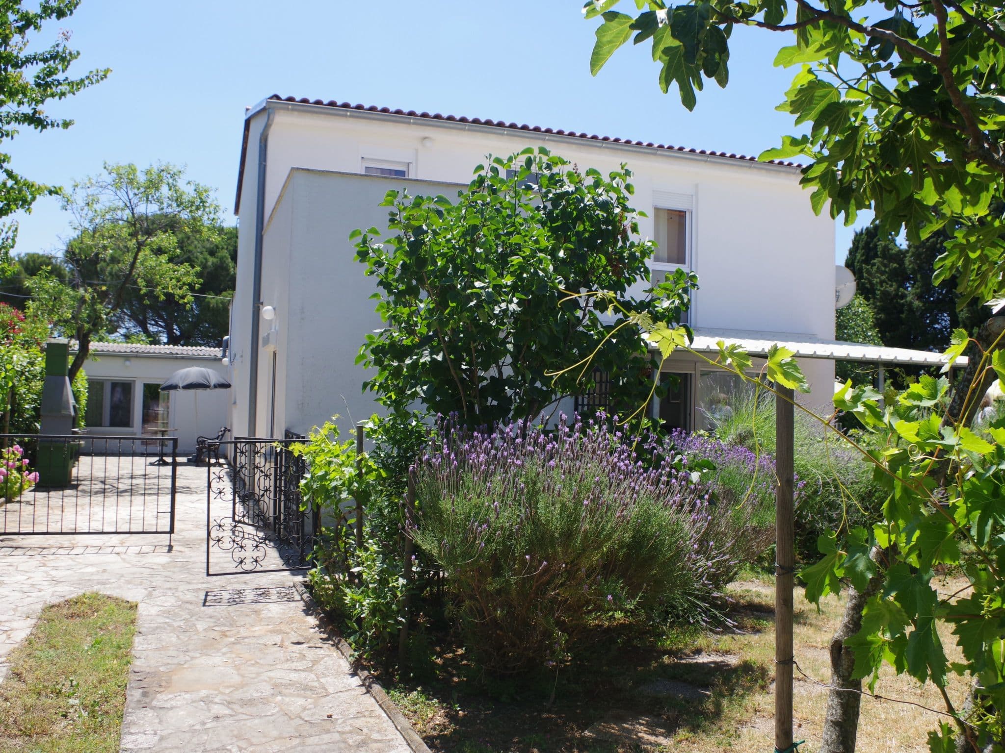 Gallery Image 14