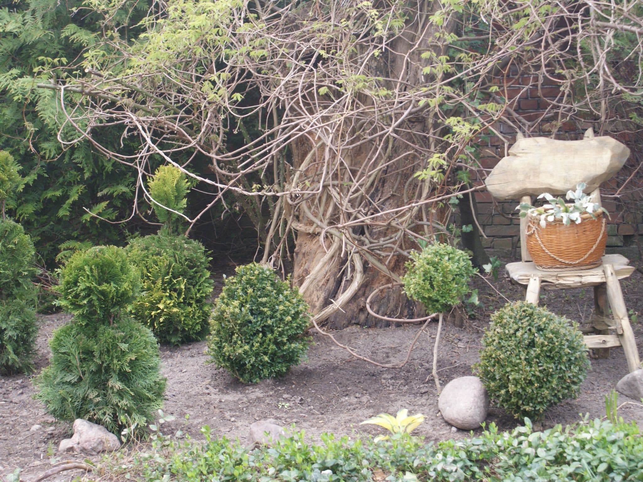Gallery Image 37