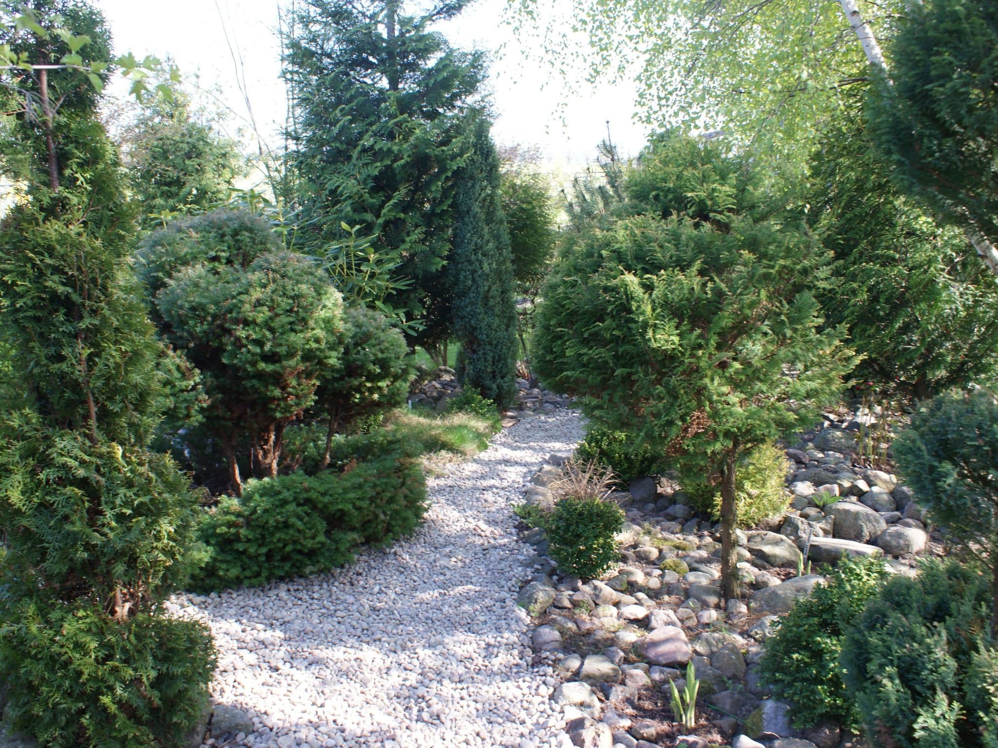 Gallery Image 38