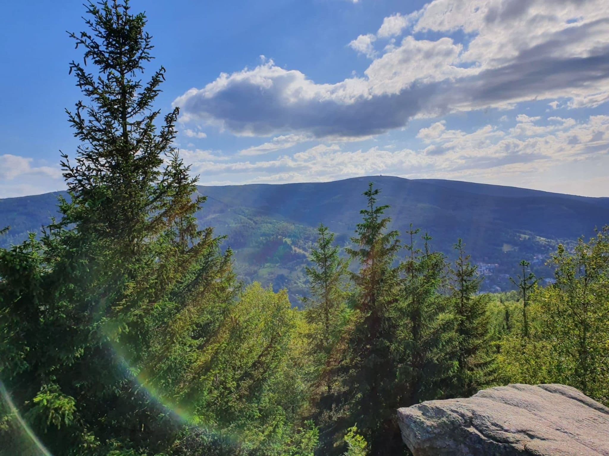View