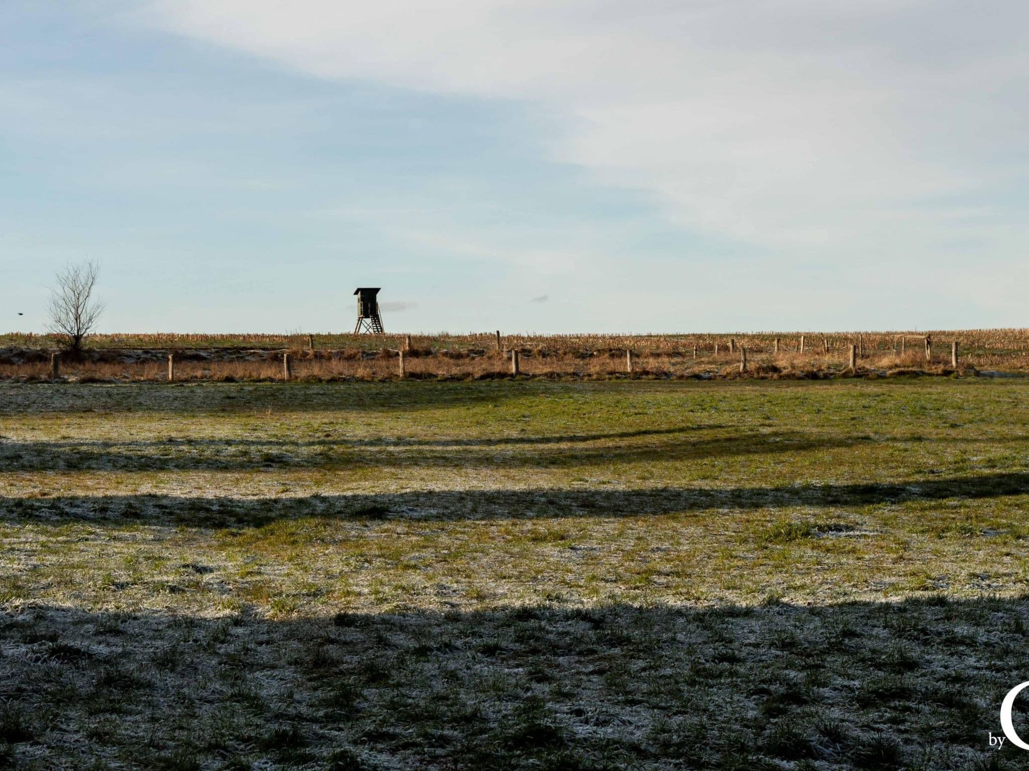 Gallery Image 29