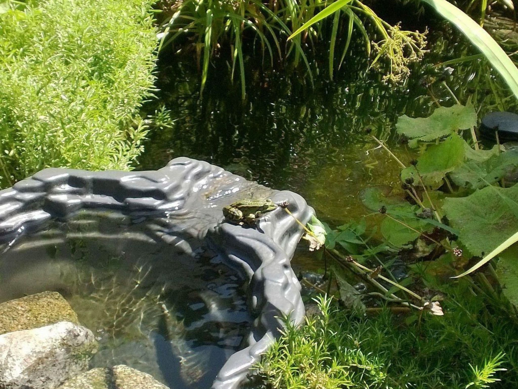 Gallery Image 31