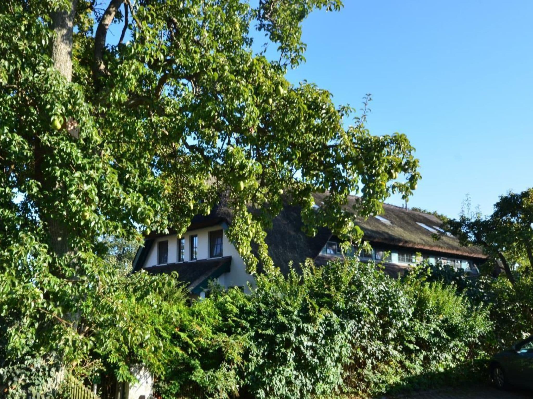 Gallery Image 22