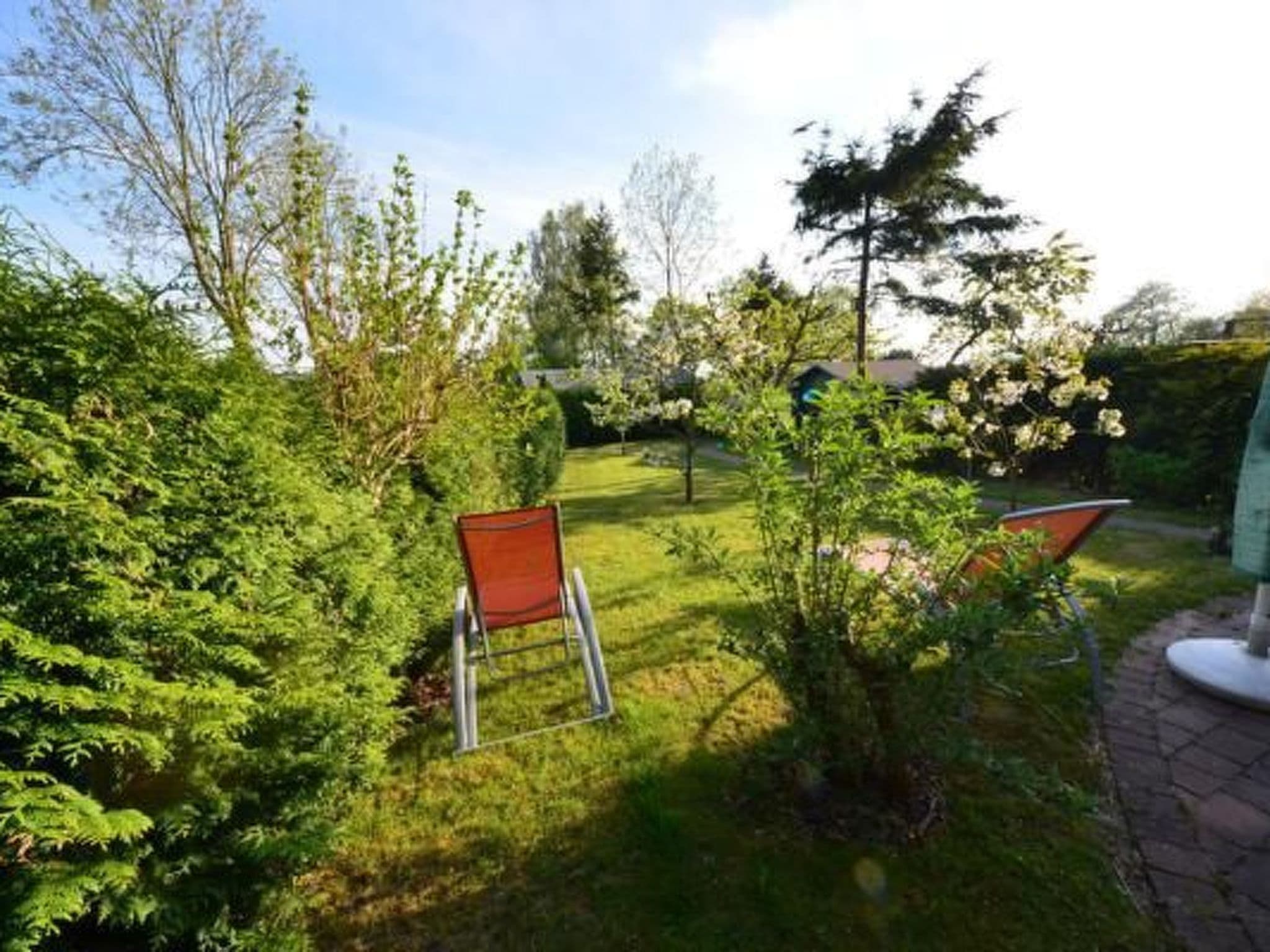 Gallery Image 11