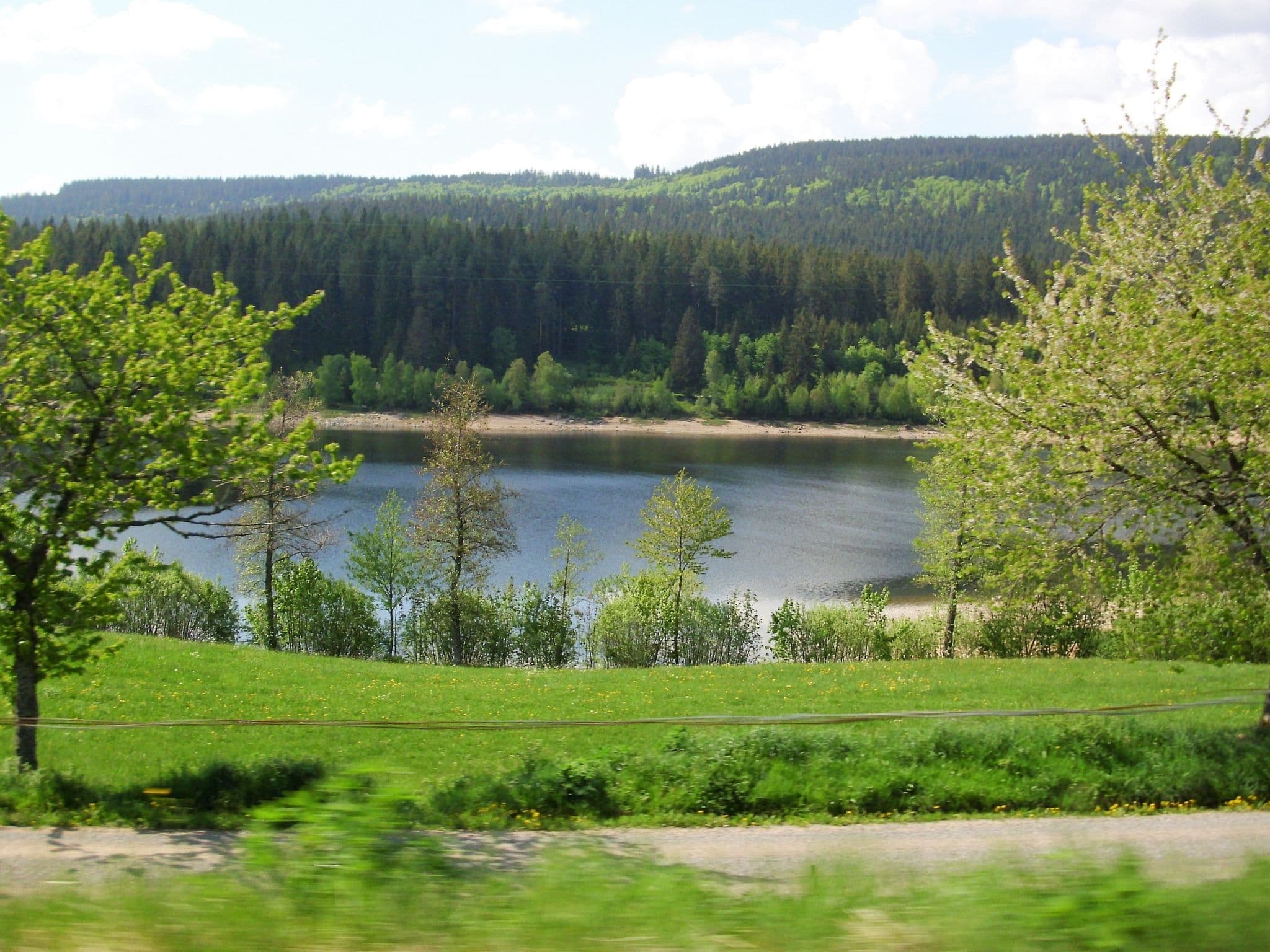 Gallery Image 26