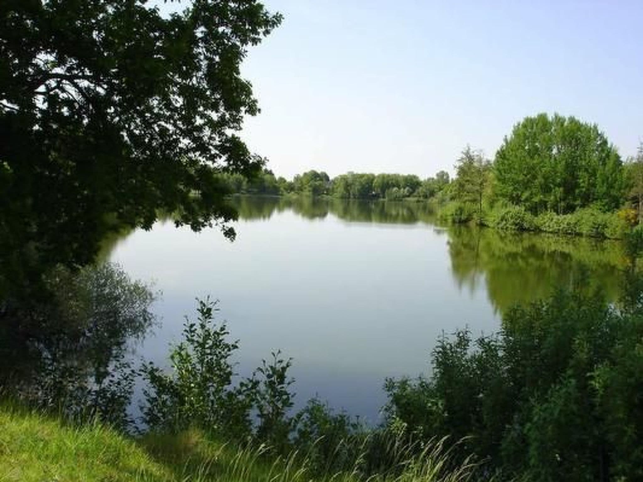 Gallery Image 14