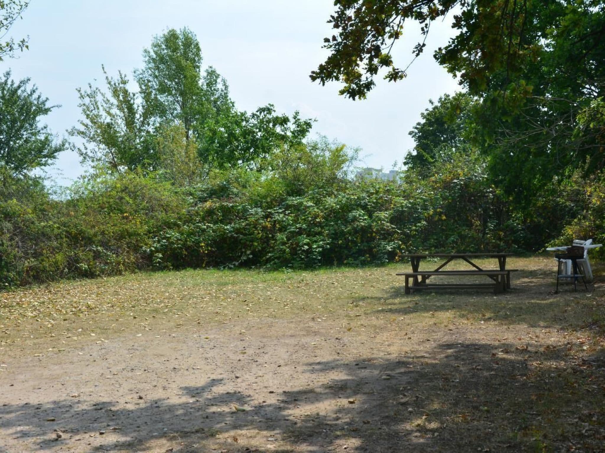 Gallery Image 19