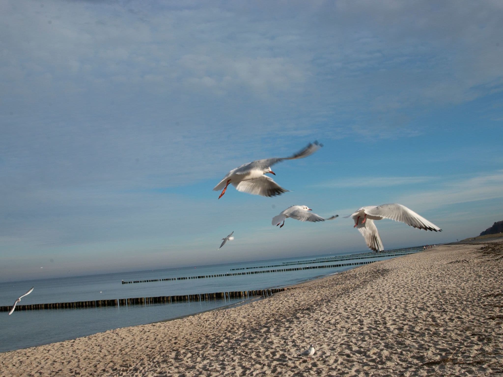 Gallery Image 29