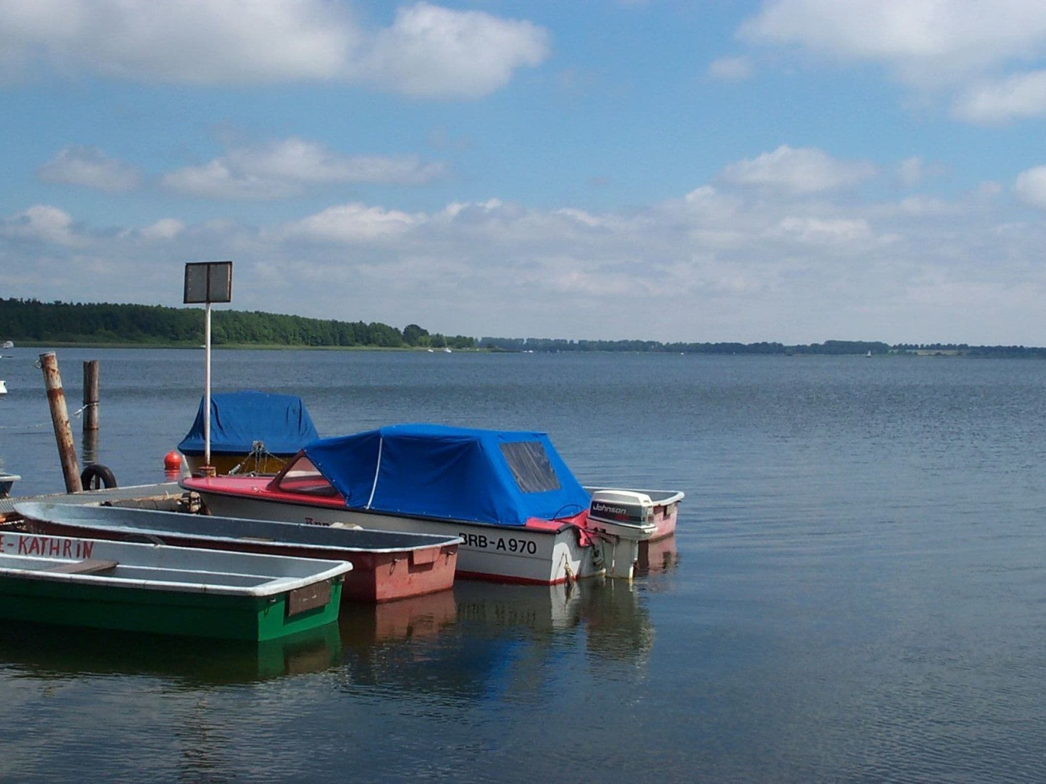 Gallery Image 12