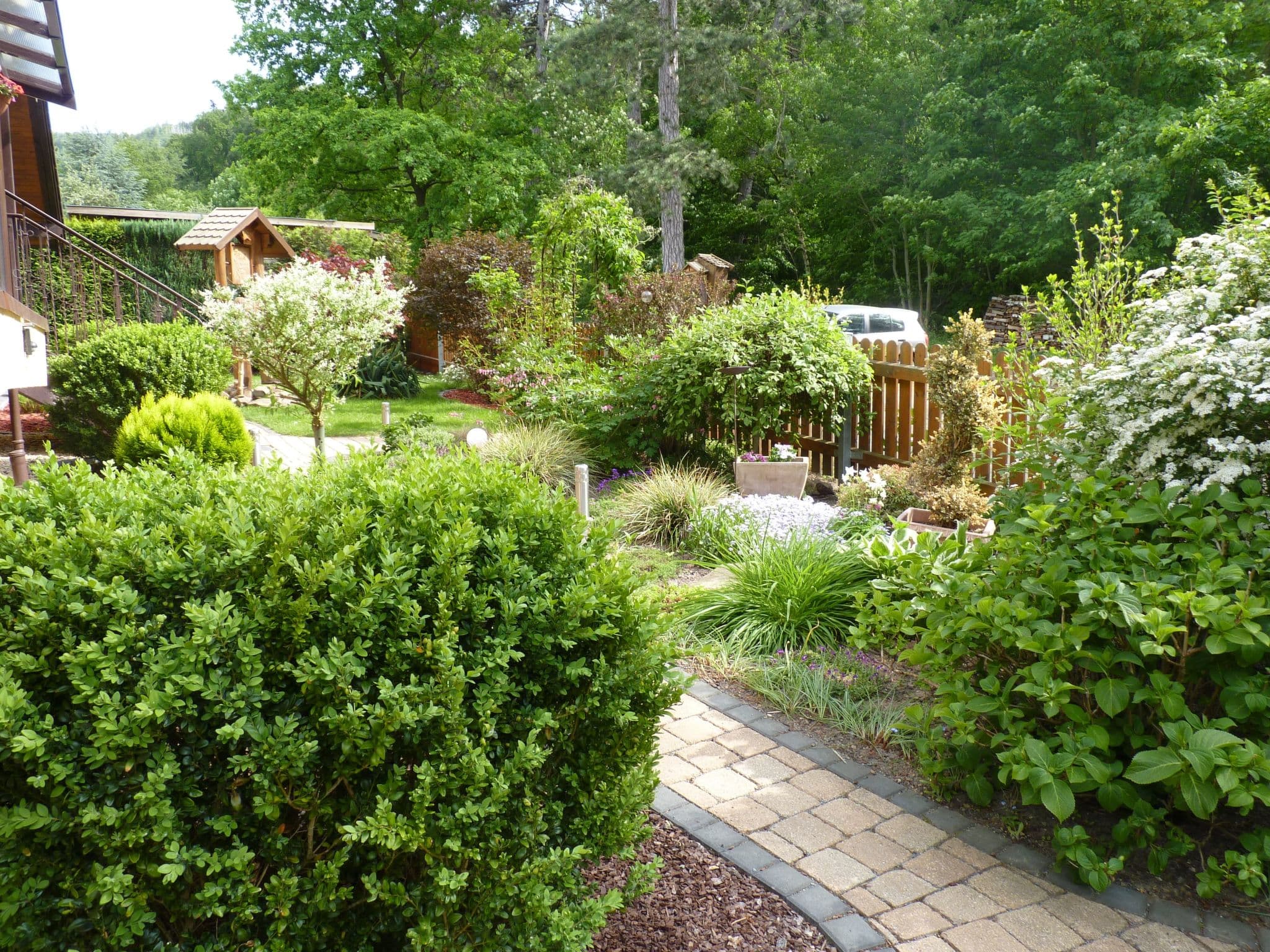 Gallery Image 6