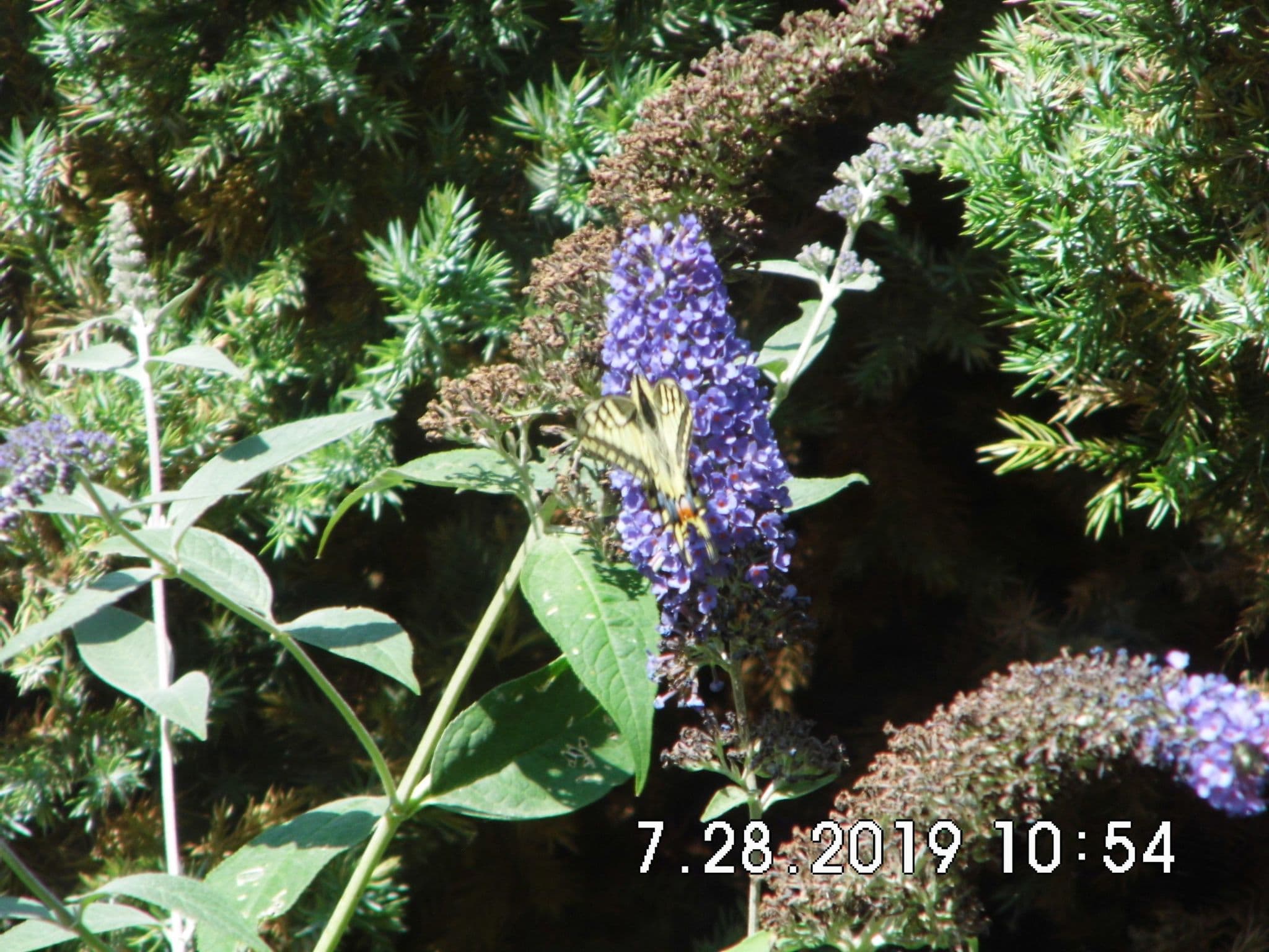 Gallery Image 28