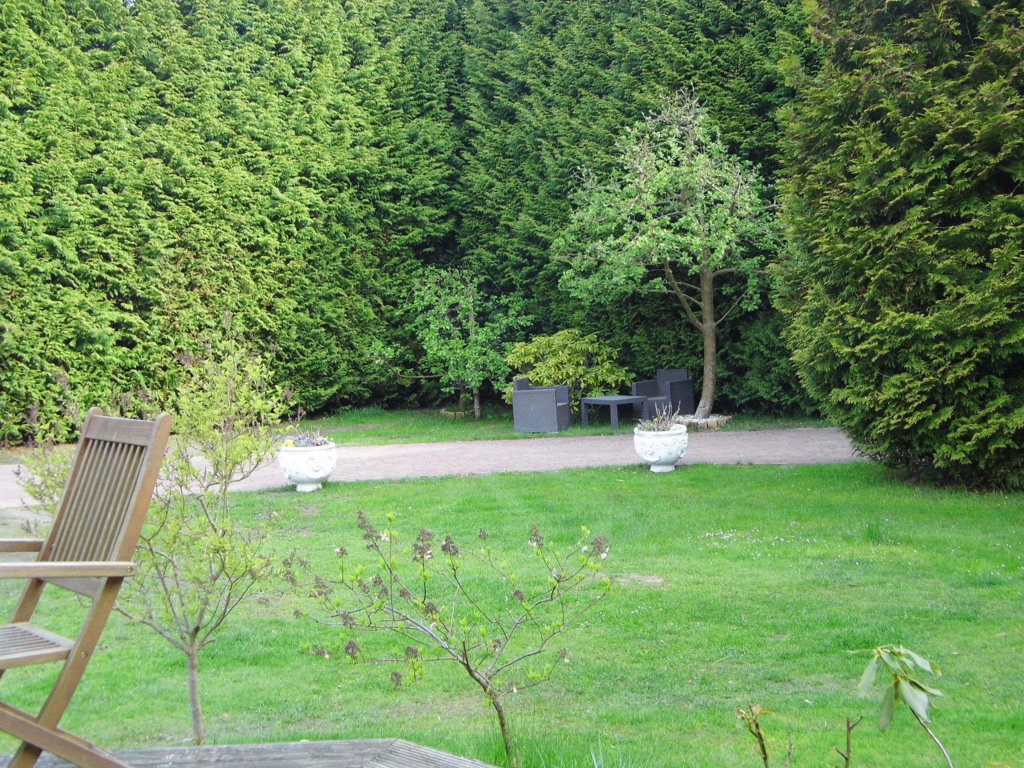 Gallery Image 11